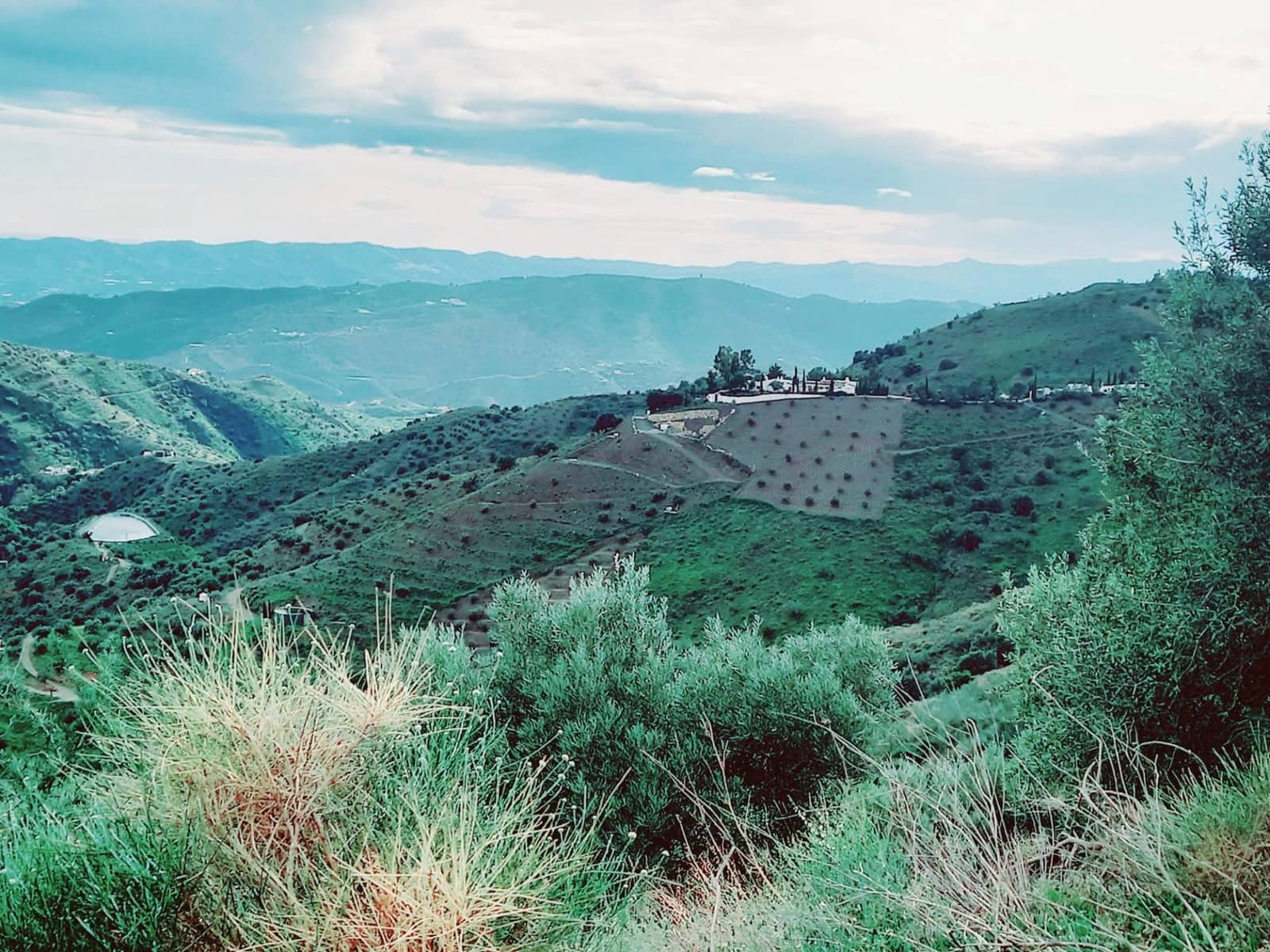 Ubebygd land til salgs i Canillas de Aceituno - € 40 000 (Ref: 8851919)