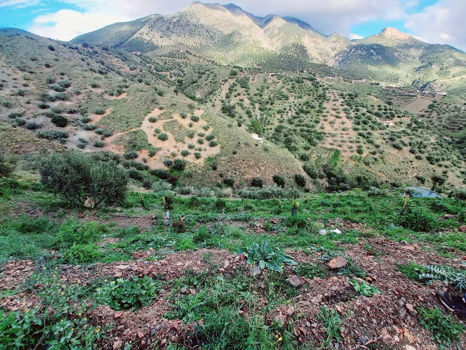 Ubebygd land til salgs i Canillas de Aceituno - € 40 000 (Ref: 8851919)