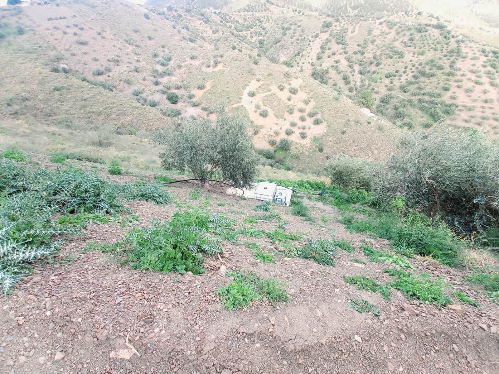 Ubebygd land til salgs i Canillas de Aceituno - € 40 000 (Ref: 8851919)