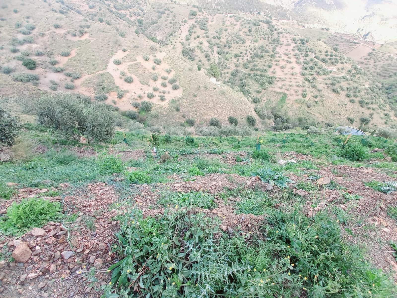 Ubebygd land til salgs i Canillas de Aceituno - € 40 000 (Ref: 8851919)