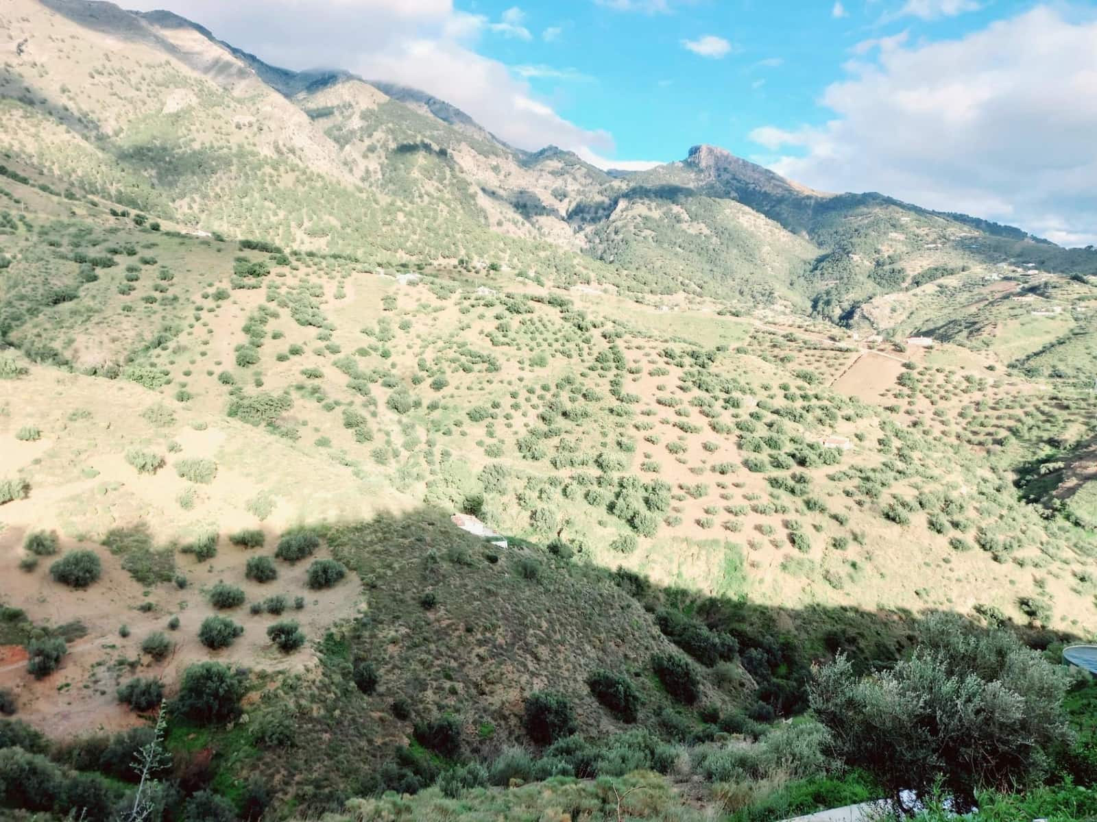 Ubebygd land til salgs i Canillas de Aceituno - € 40 000 (Ref: 8851919)