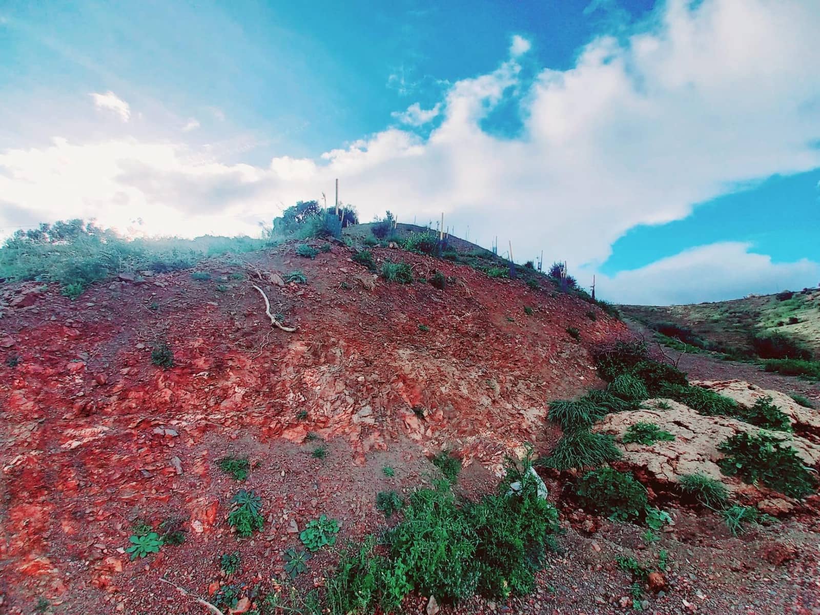 Ubebygd land til salgs i Canillas de Aceituno - € 40 000 (Ref: 8851919)