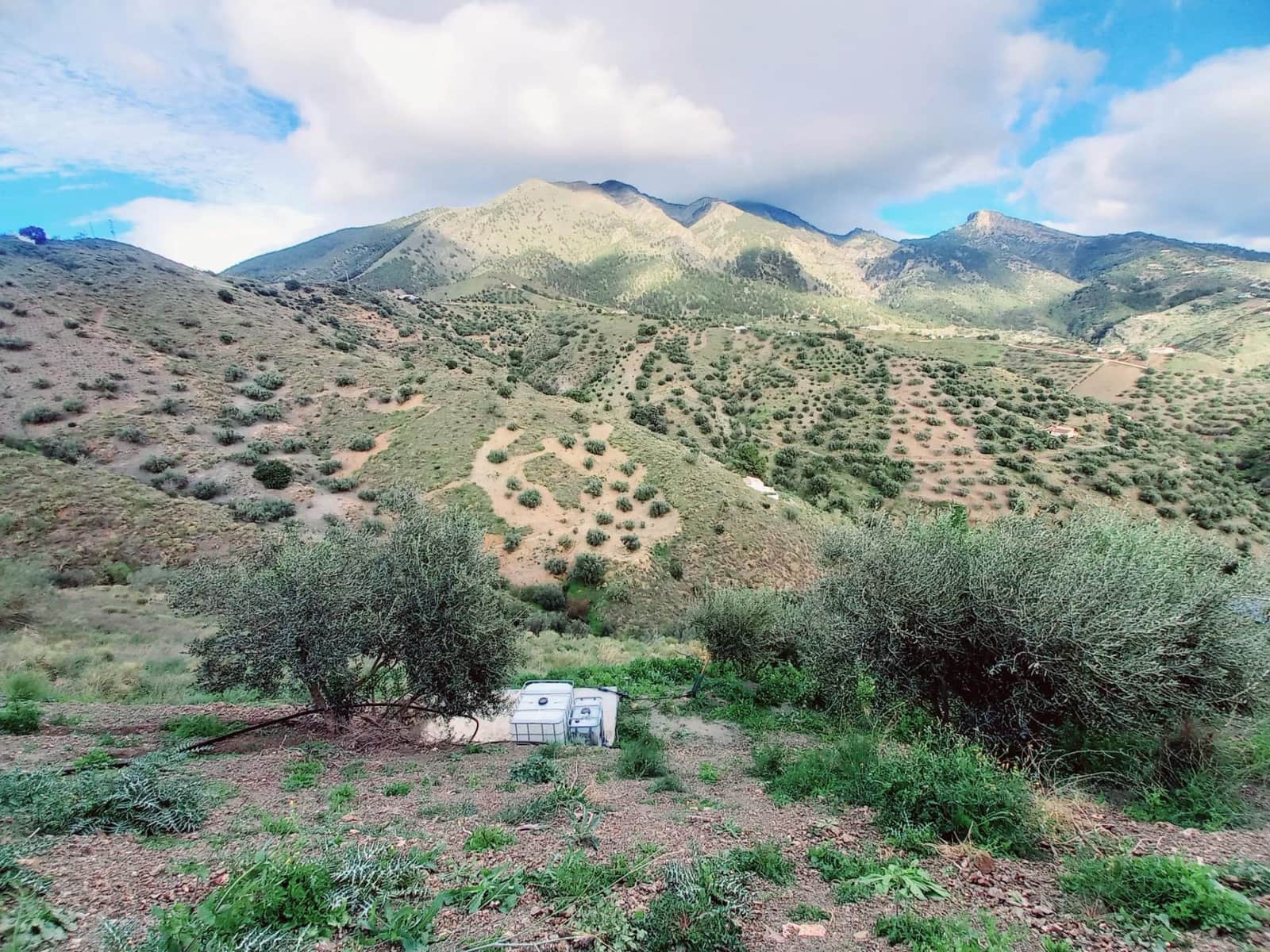 Ubebygd land til salgs i Canillas de Aceituno - € 40 000 (Ref: 8851919)