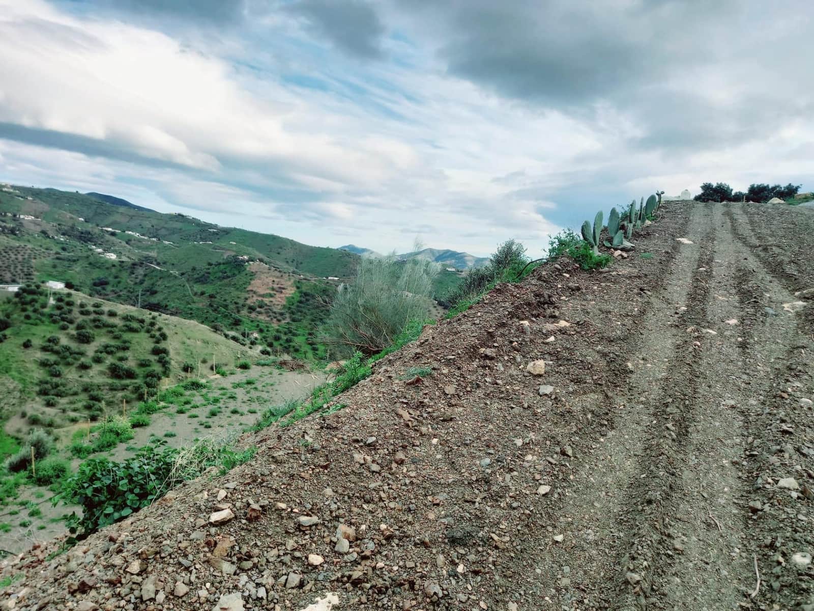 Ubebygd land til salgs i Canillas de Aceituno - € 40 000 (Ref: 8851919)