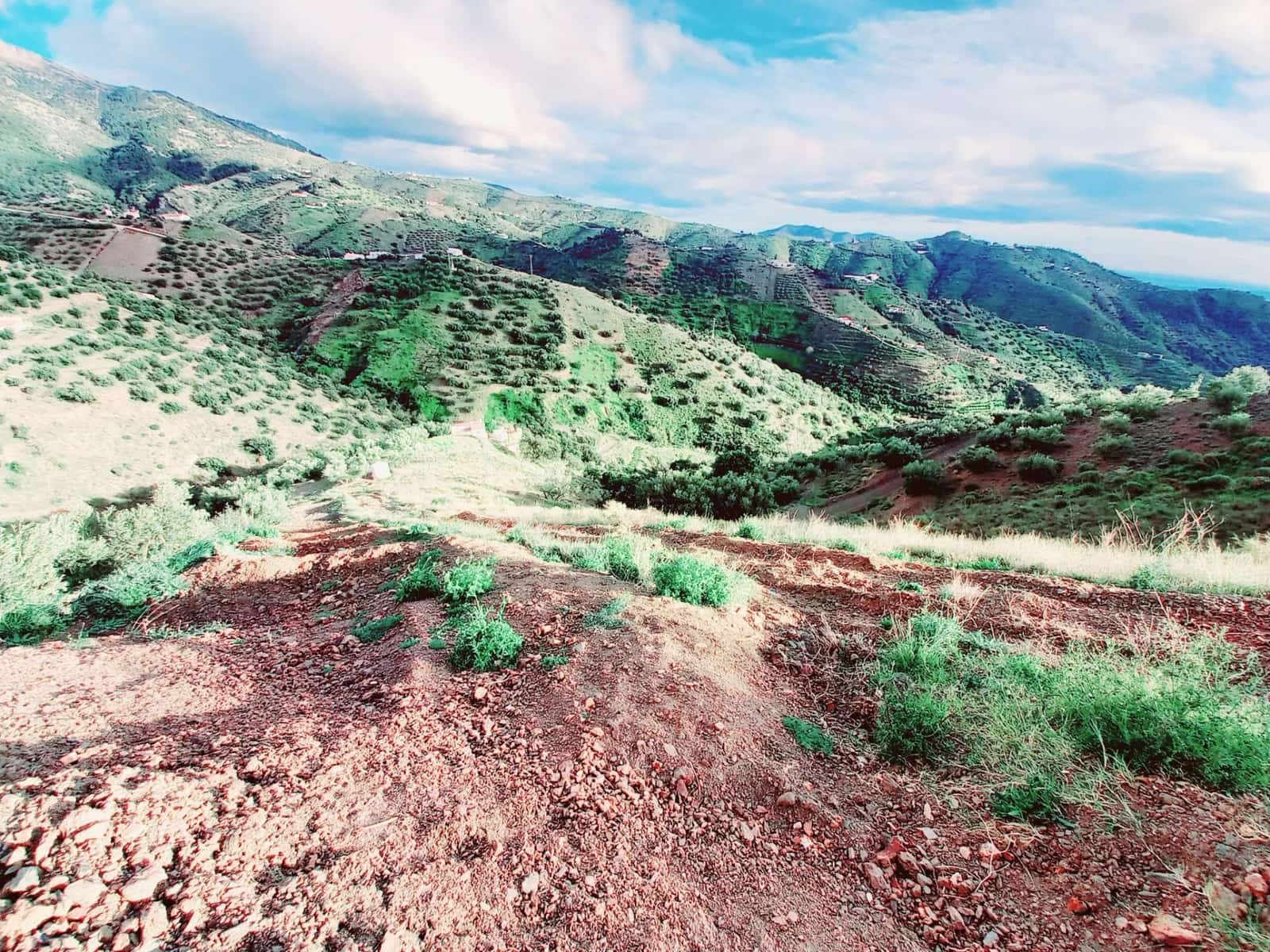 Ubebygd land til salgs i Canillas de Aceituno - € 40 000 (Ref: 8851919)