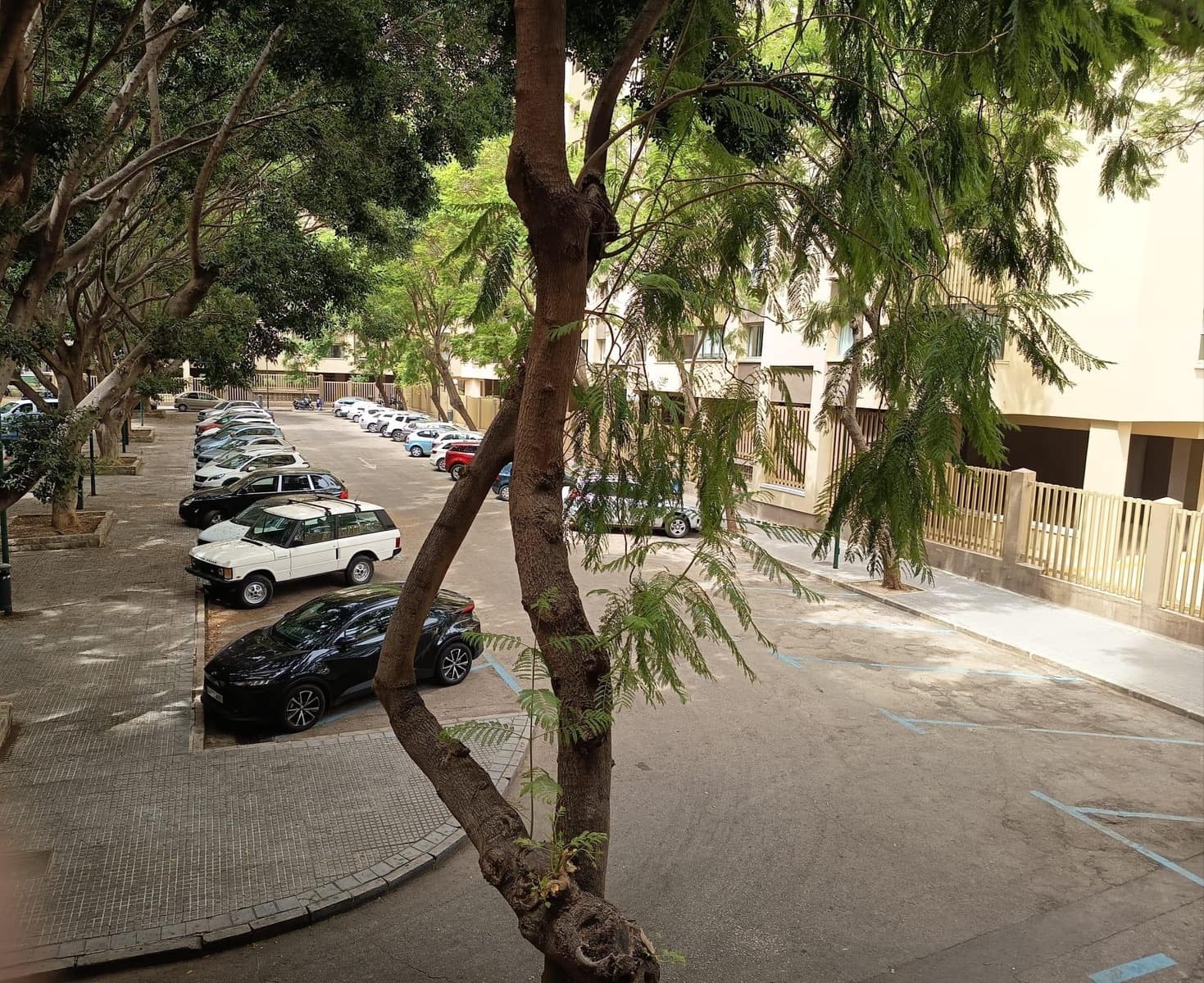 Loft til leje i Malaga by - € 1.150 (Ref: 9197794)