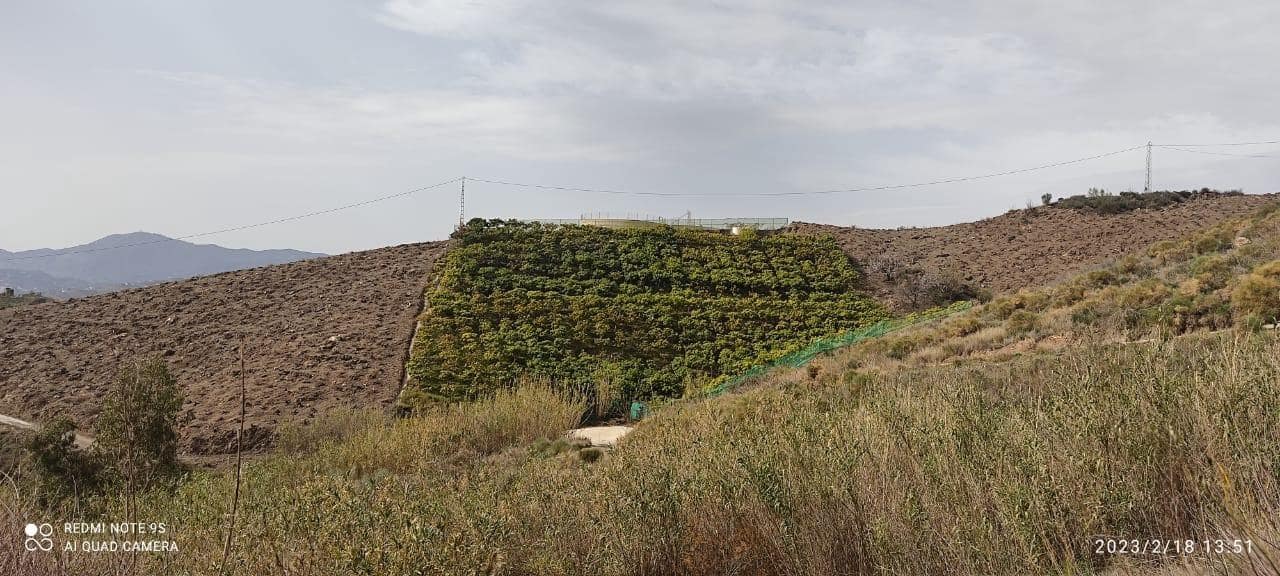 Mark till salu i Canillas de Aceituno - 120 000 € (Ref: 9296960)