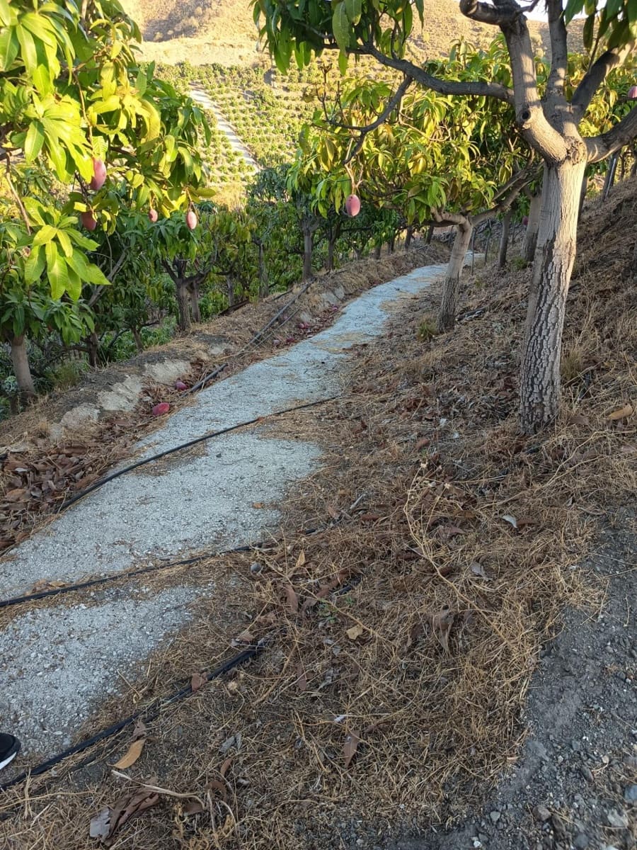 Mark till salu i Canillas de Aceituno - 120 000 € (Ref: 9296960)