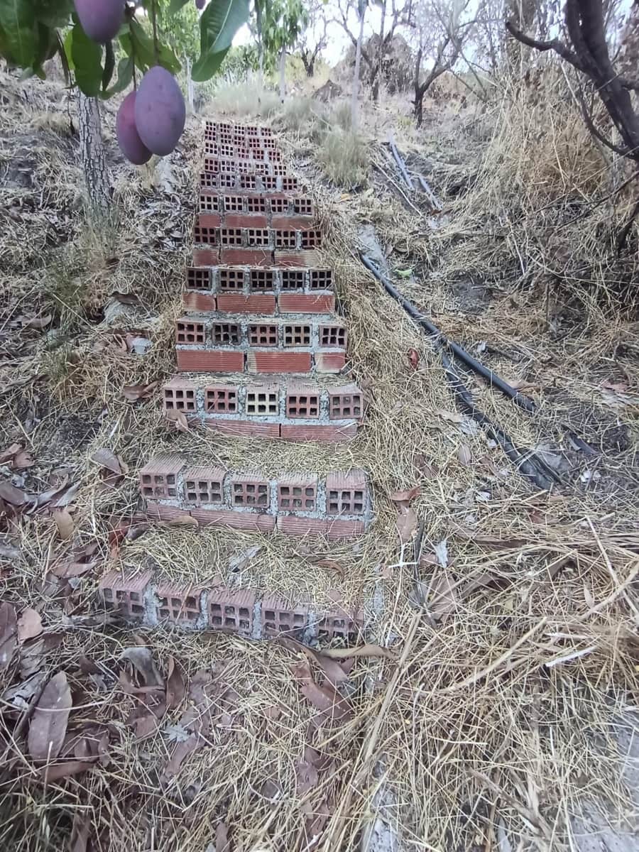 Mark till salu i Canillas de Aceituno - 120 000 € (Ref: 9296960)