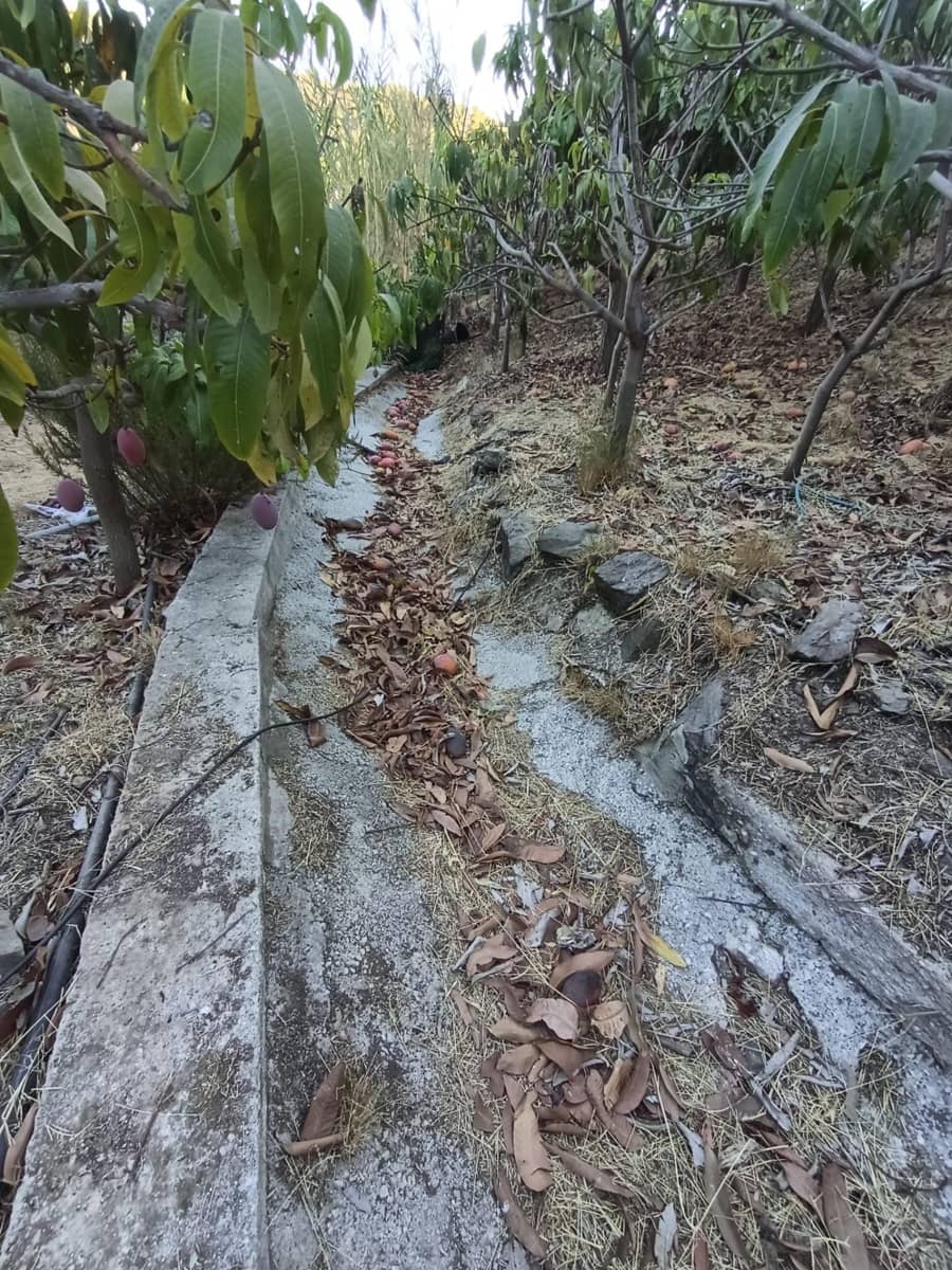 Mark till salu i Canillas de Aceituno - 120 000 € (Ref: 9296960)