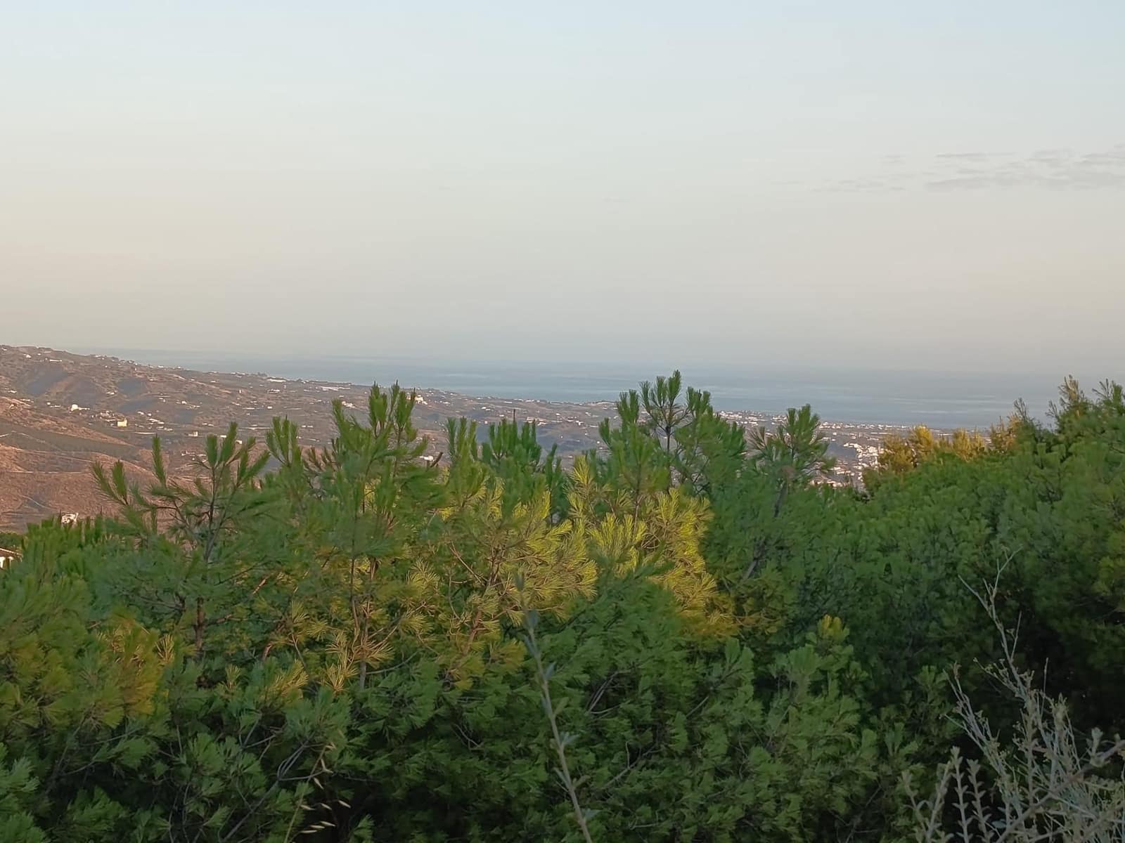 Mark till salu i Canillas de Aceituno - 120 000 € (Ref: 9296960)