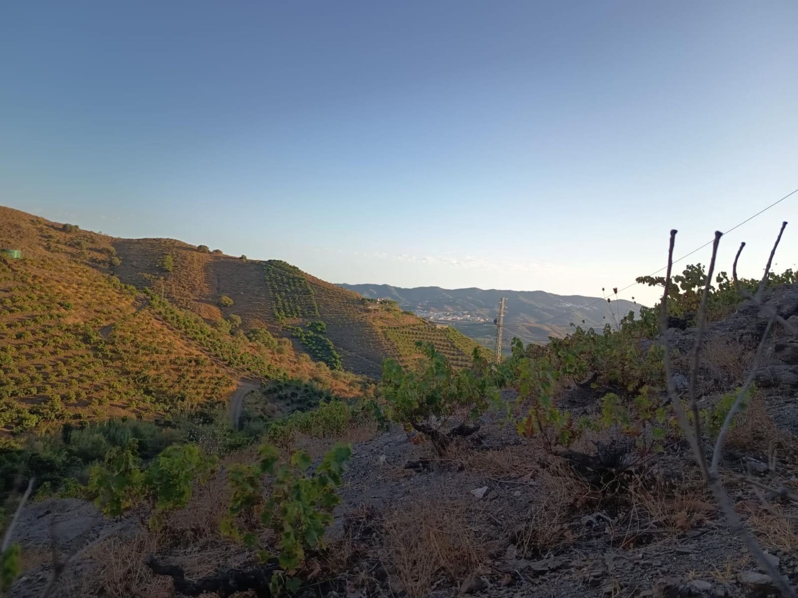 Mark till salu i Canillas de Aceituno - 120 000 € (Ref: 9296960)