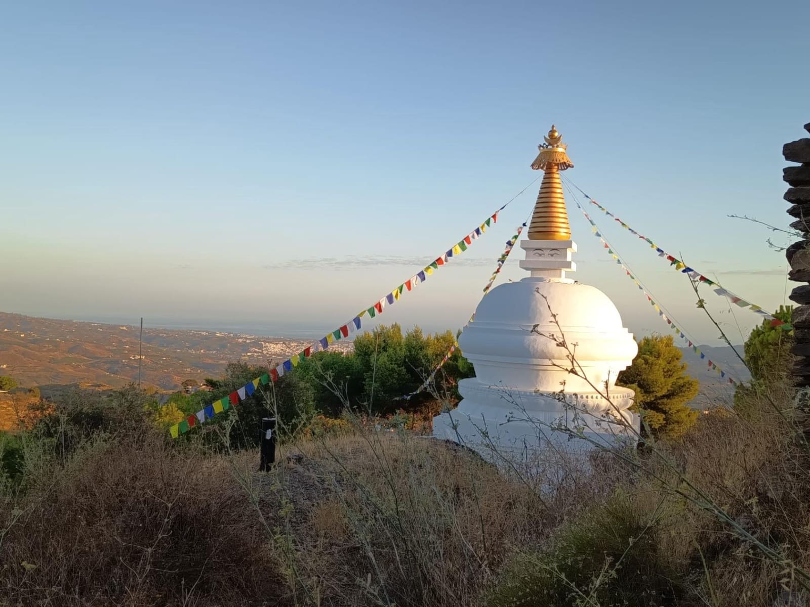 Mark till salu i Canillas de Aceituno - 120 000 € (Ref: 9296960)