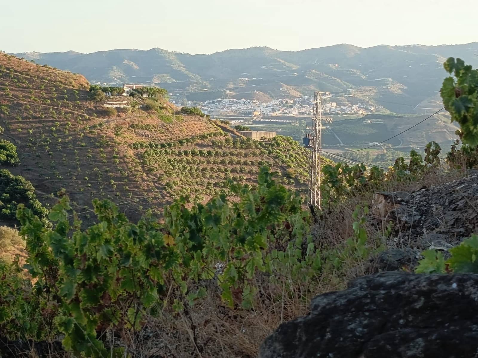 Mark till salu i Canillas de Aceituno - 120 000 € (Ref: 9296960)