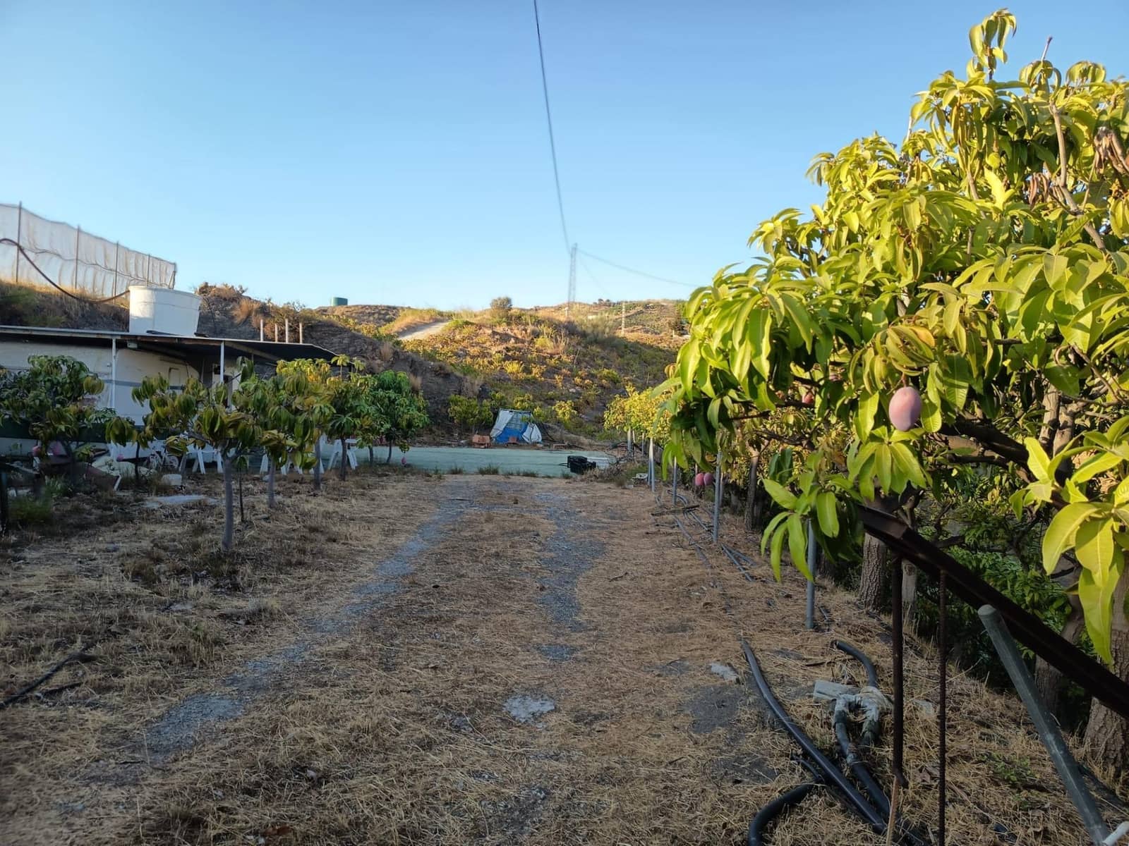 Mark till salu i Canillas de Aceituno - 120 000 € (Ref: 9296960)