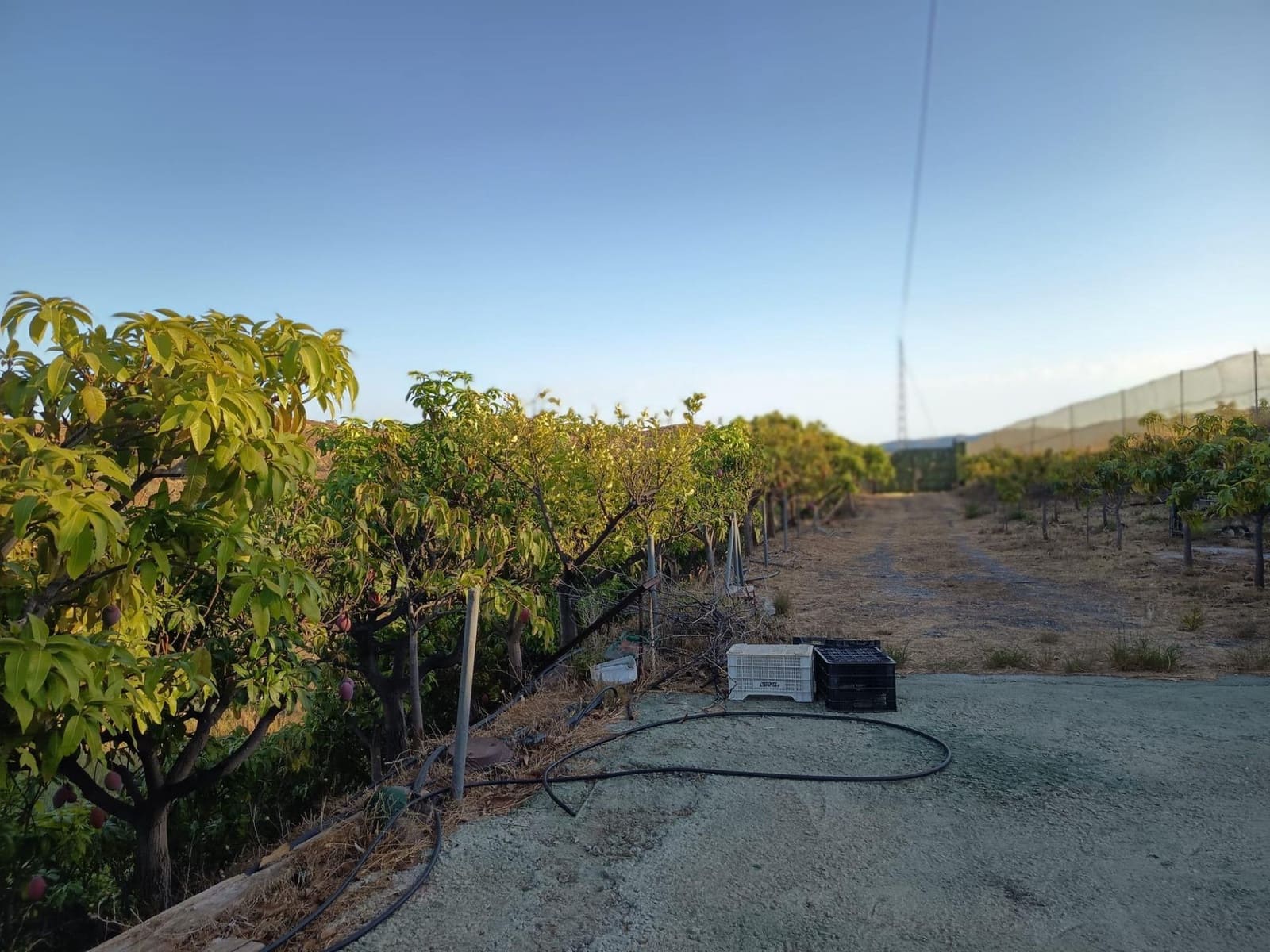 Mark till salu i Canillas de Aceituno - 120 000 € (Ref: 9296960)