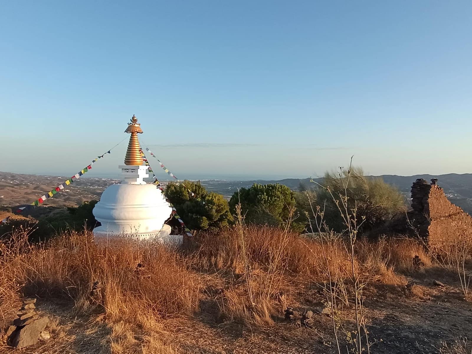 Mark till salu i Canillas de Aceituno - 120 000 € (Ref: 9296960)