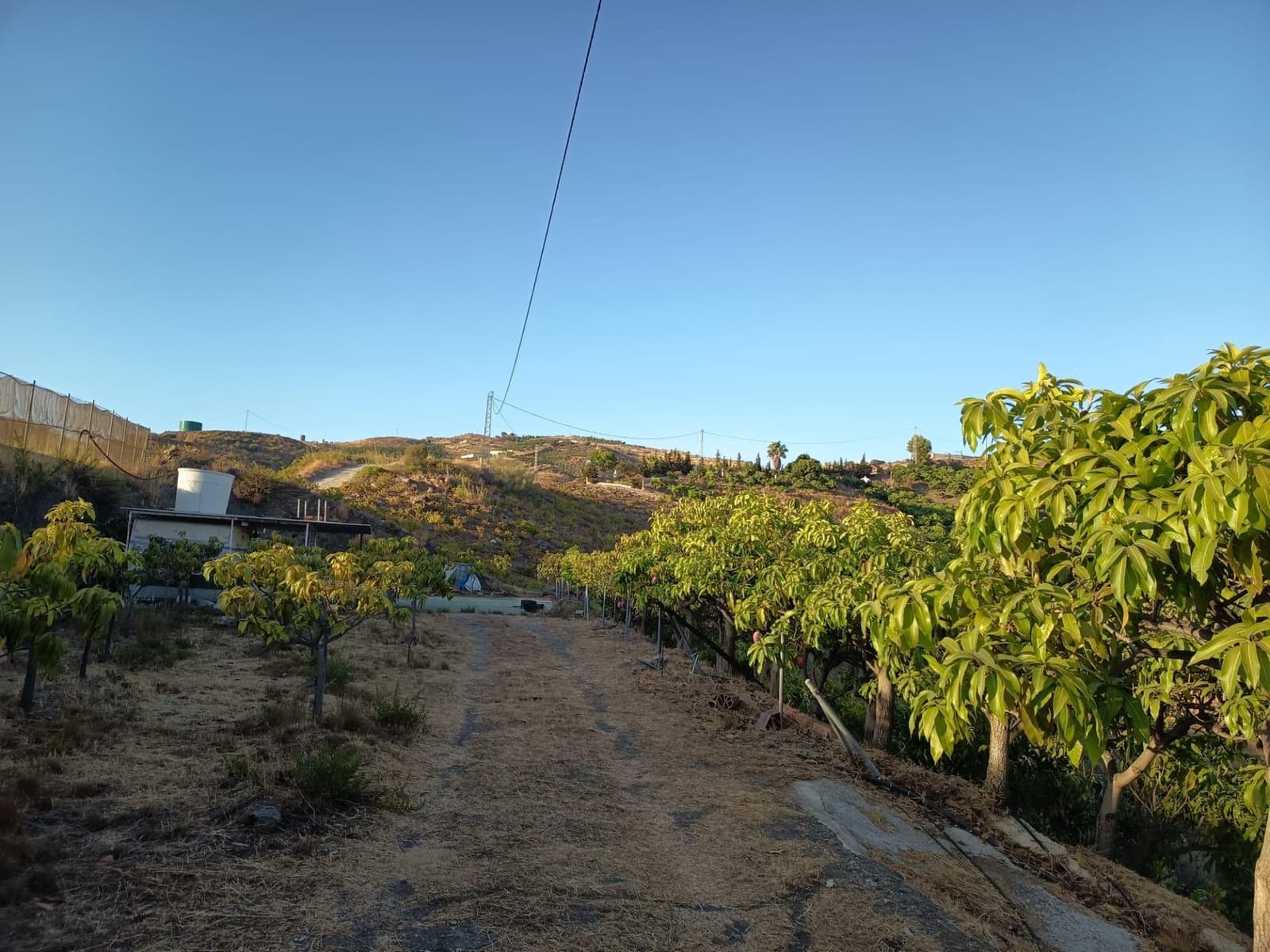 Mark till salu i Canillas de Aceituno - 120 000 € (Ref: 9296960)