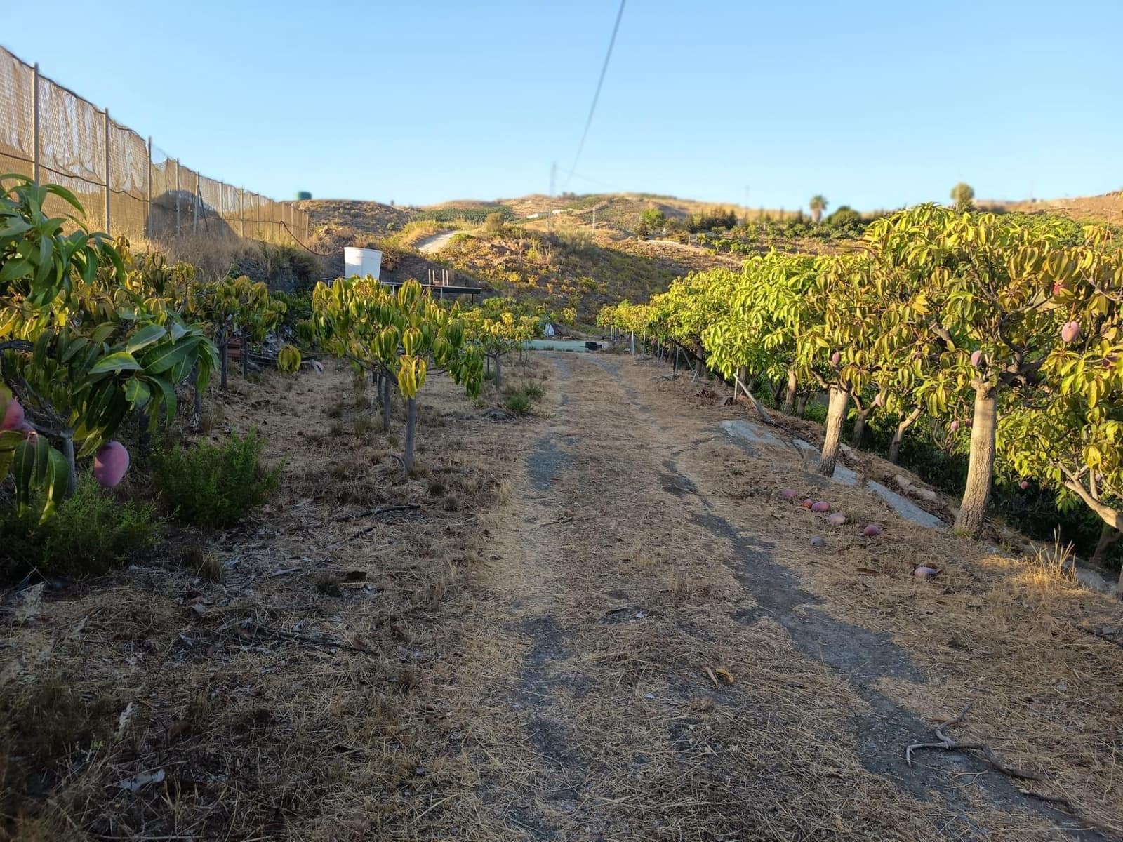 Mark till salu i Canillas de Aceituno - 120 000 € (Ref: 9296960)