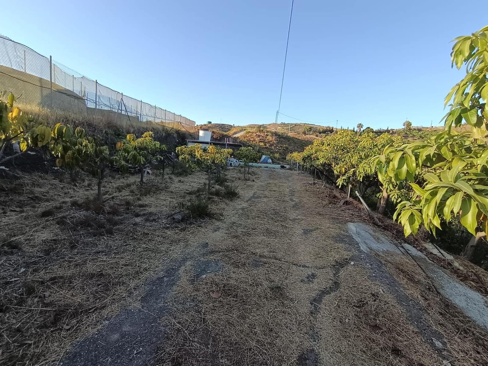 Mark till salu i Canillas de Aceituno - 120 000 € (Ref: 9296960)