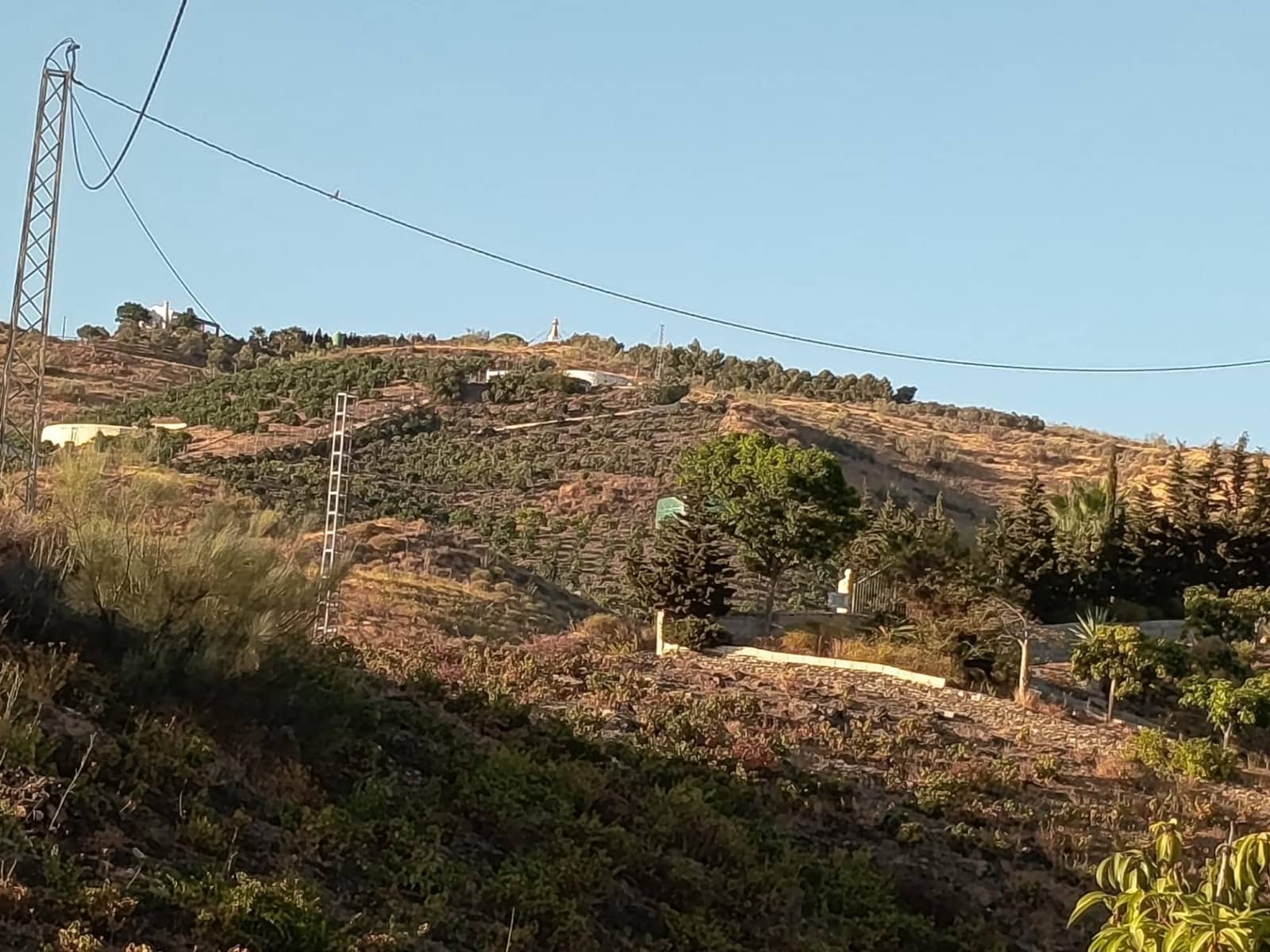 Mark till salu i Canillas de Aceituno - 120 000 € (Ref: 9296960)