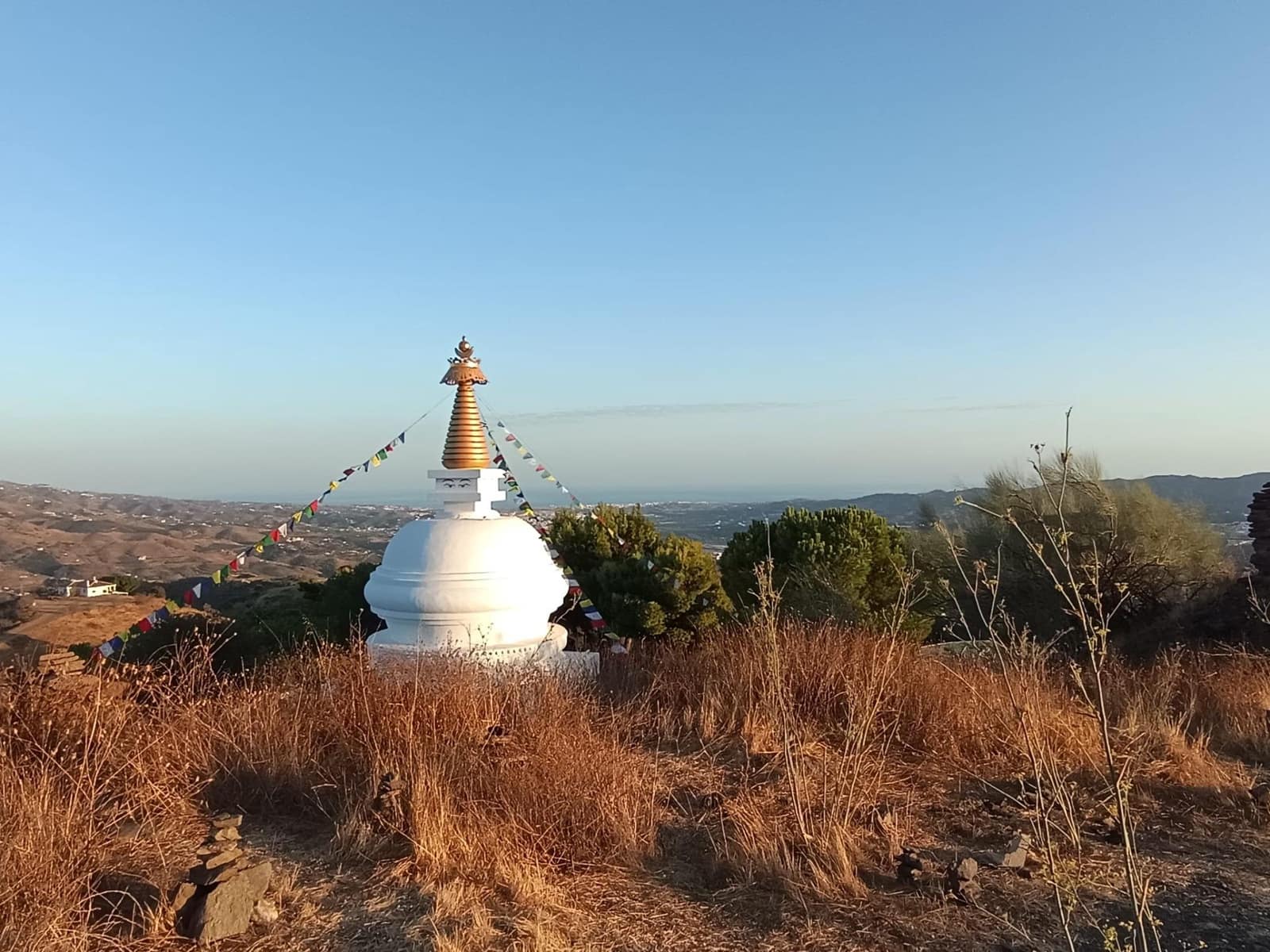 Mark till salu i Canillas de Aceituno - 120 000 € (Ref: 9296960)