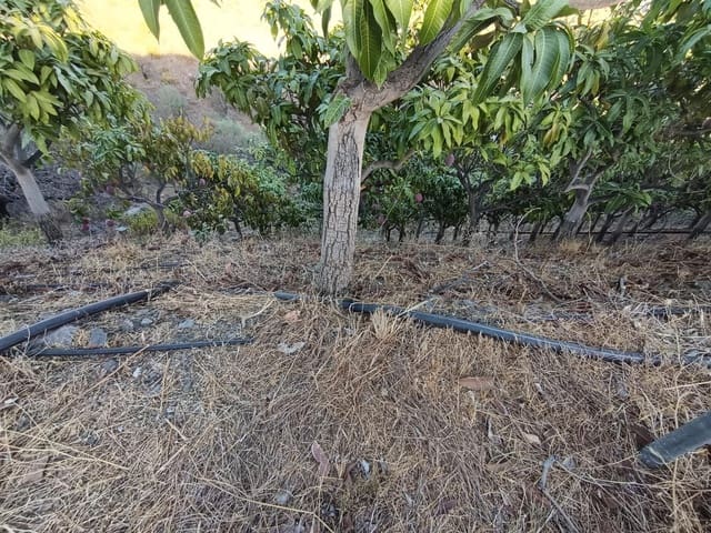 Mark till salu i Canillas de Aceituno - 120 000 € (Ref: 9296960)