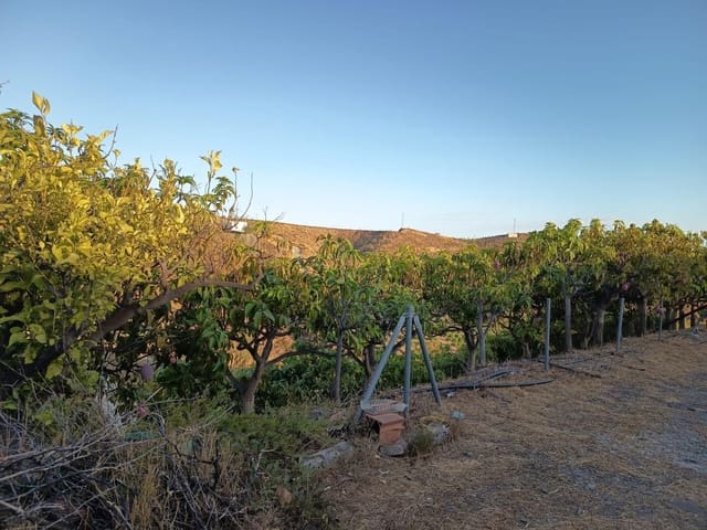 Mark till salu i Canillas de Aceituno - 120 000 € (Ref: 9296960)