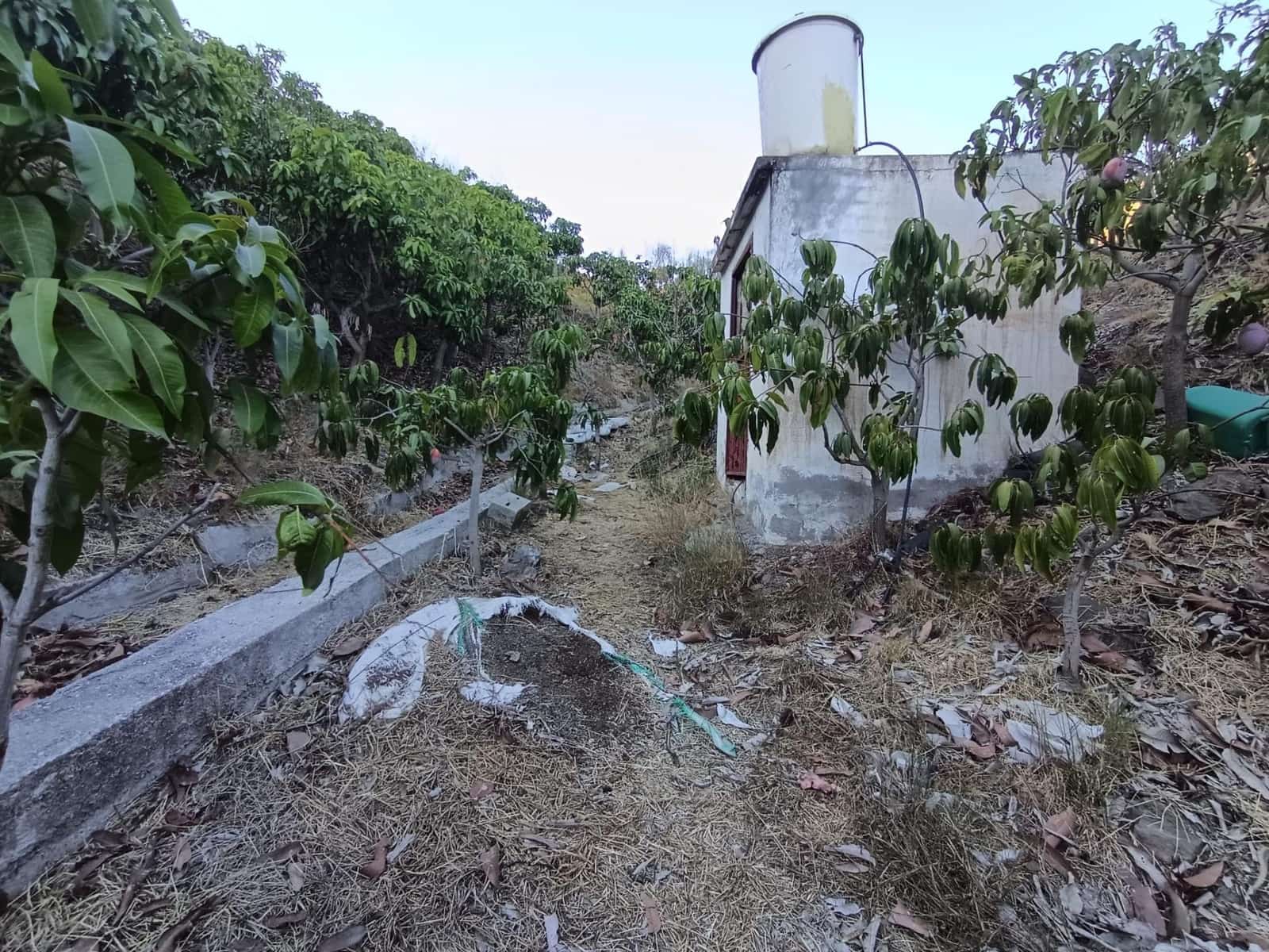 Mark till salu i Canillas de Aceituno - 120 000 € (Ref: 9296960)