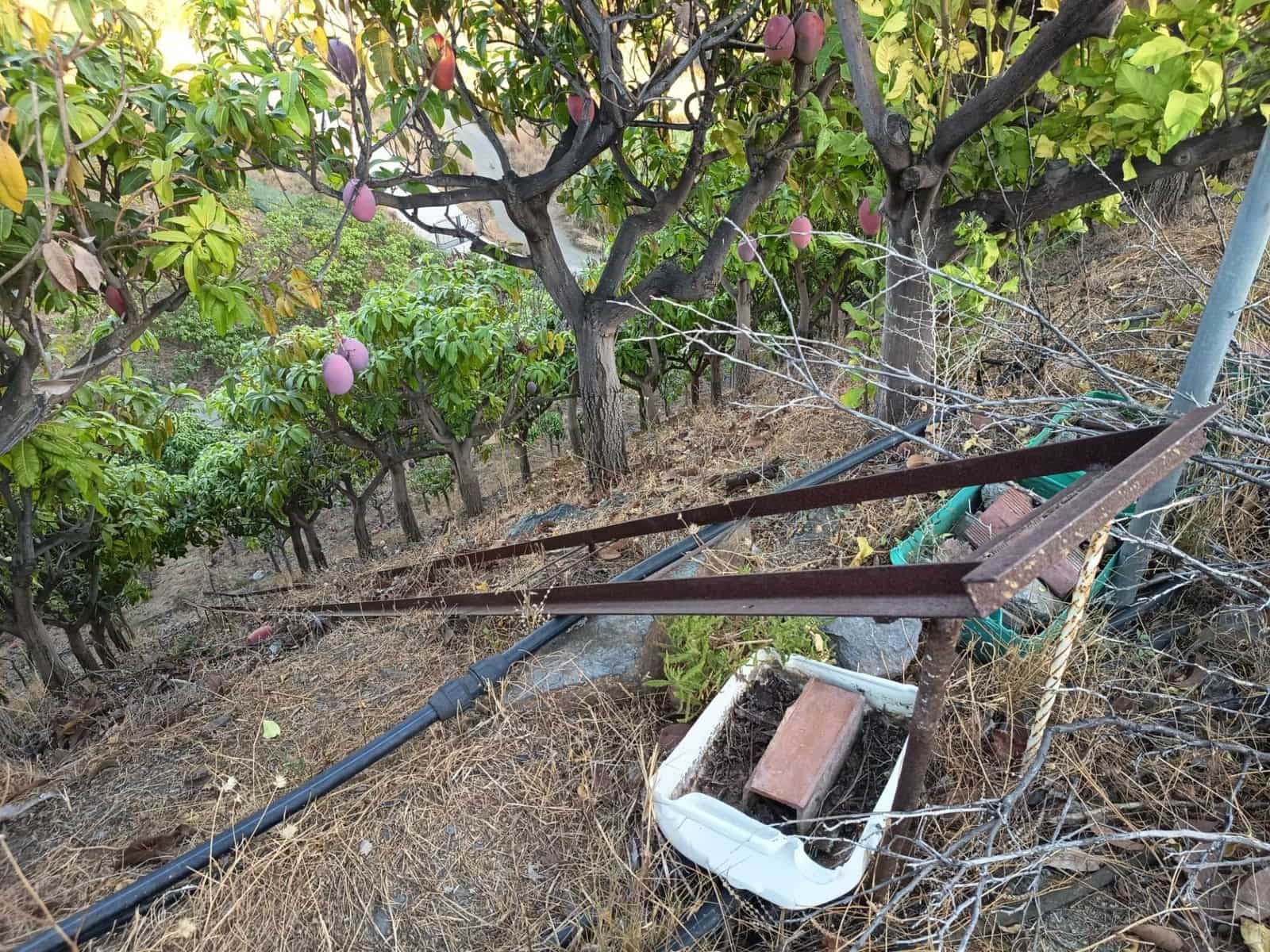 Mark till salu i Canillas de Aceituno - 120 000 € (Ref: 9296960)