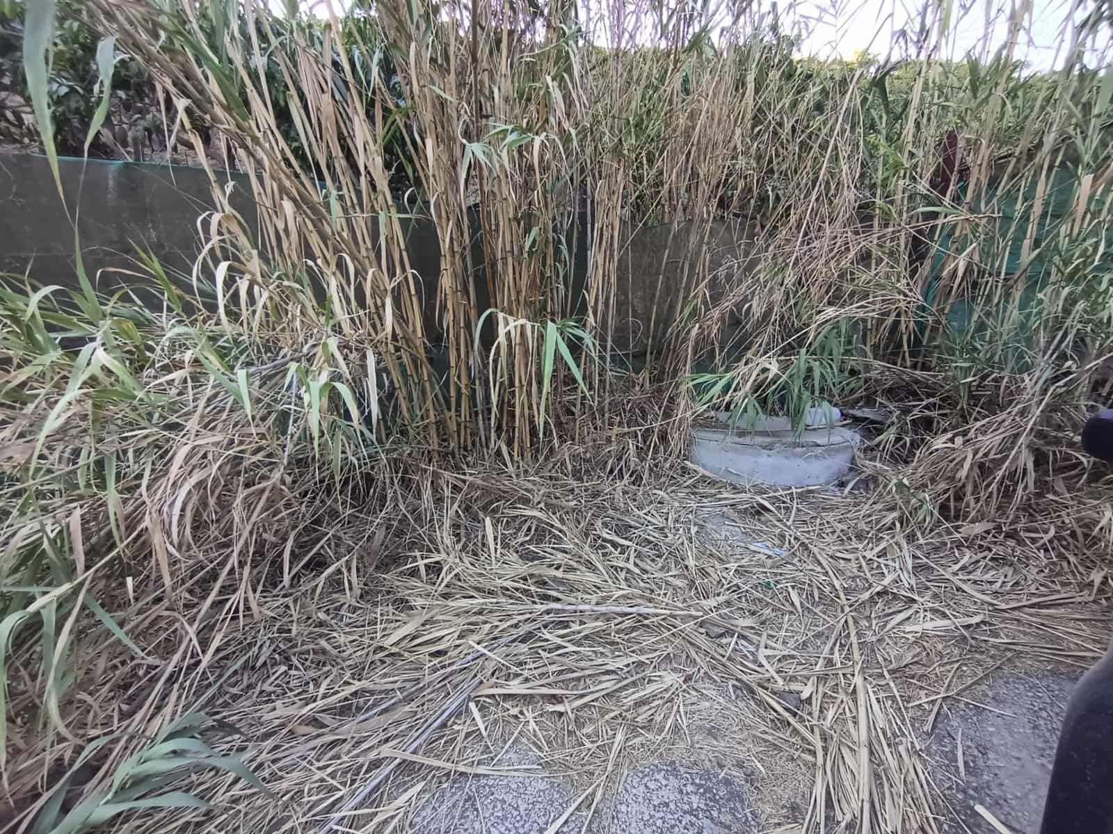 Mark till salu i Canillas de Aceituno - 120 000 € (Ref: 9296960)