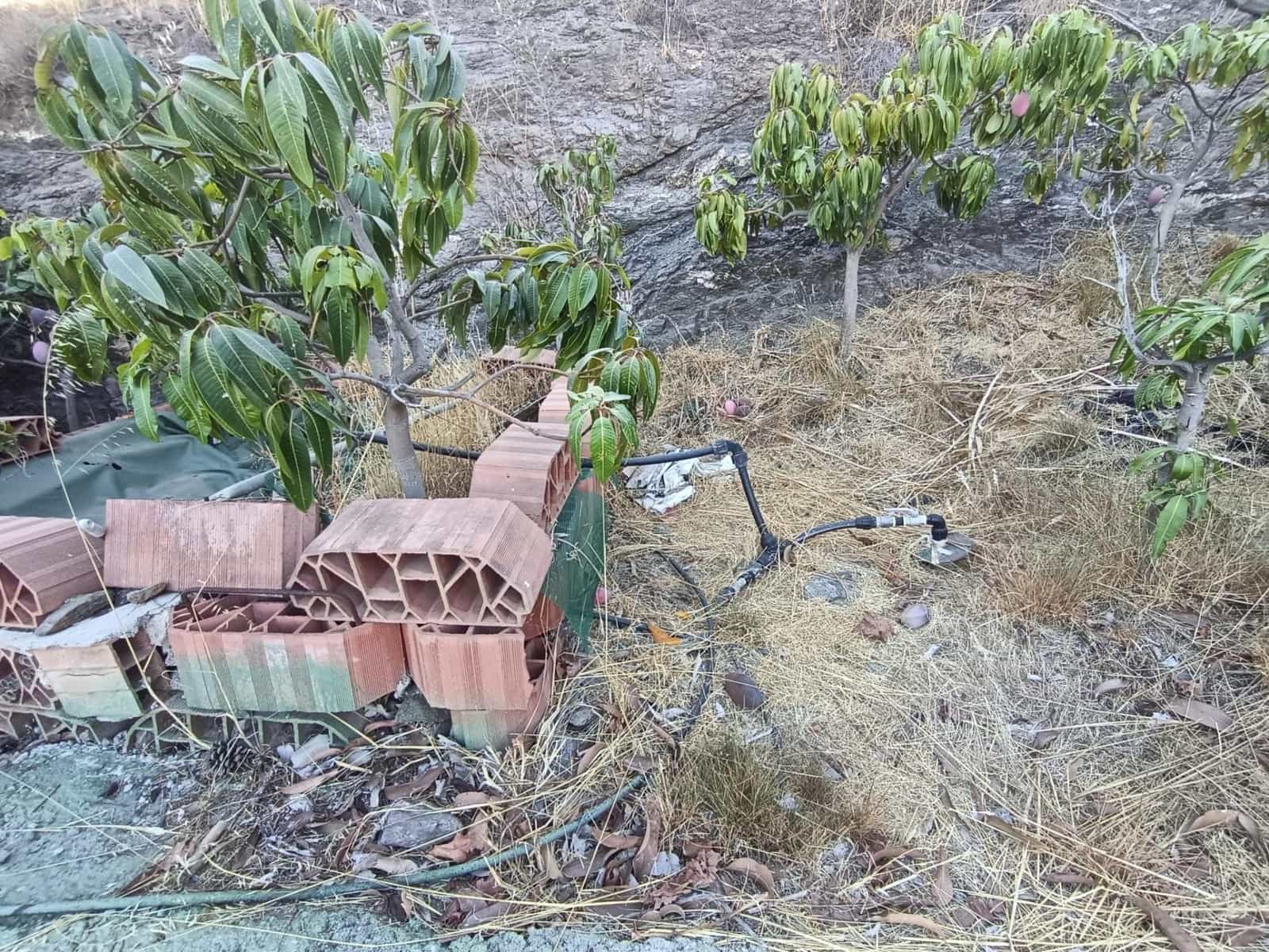 Mark till salu i Canillas de Aceituno - 120 000 € (Ref: 9296960)