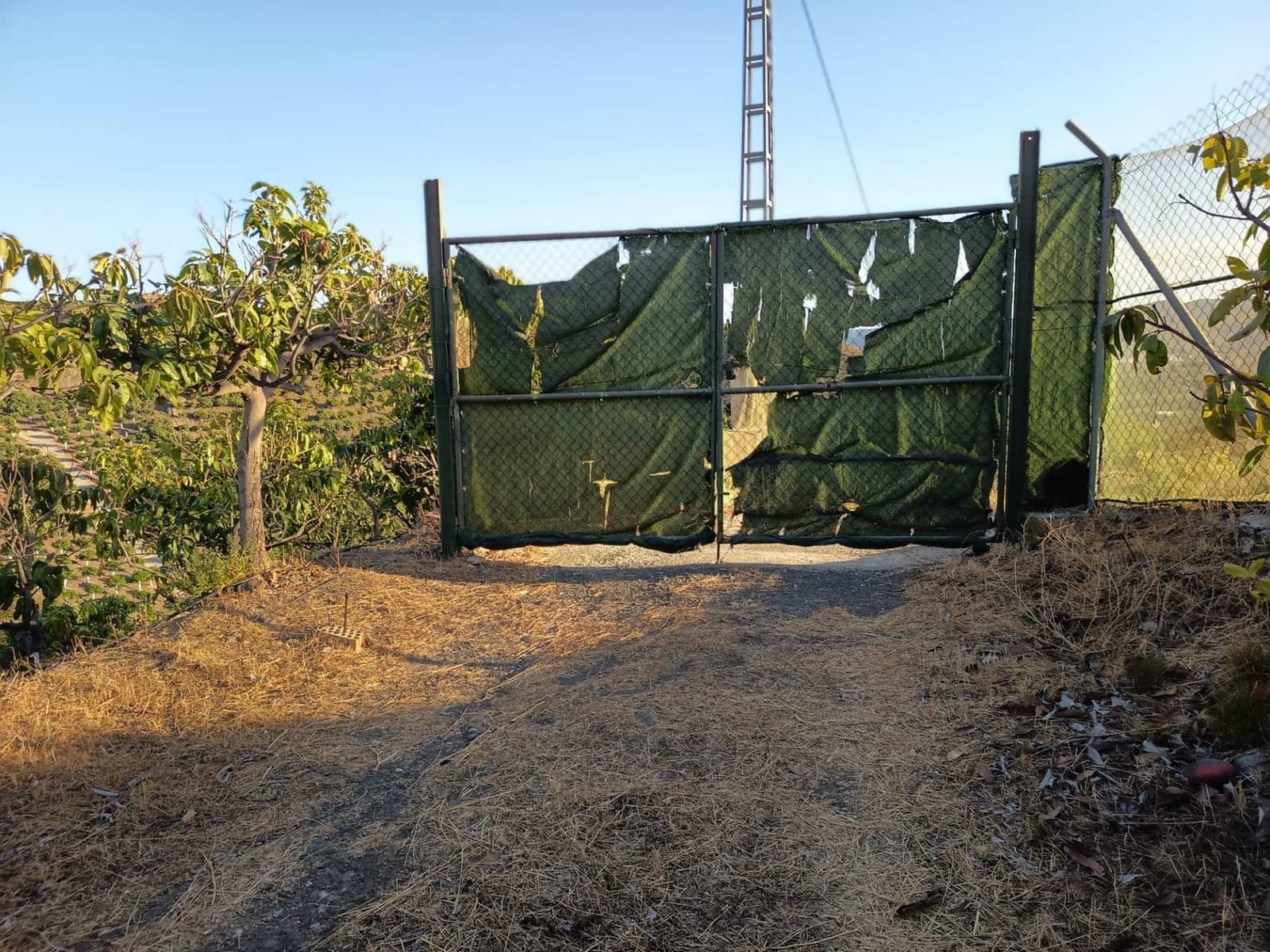 Mark till salu i Canillas de Aceituno - 120 000 € (Ref: 9296960)