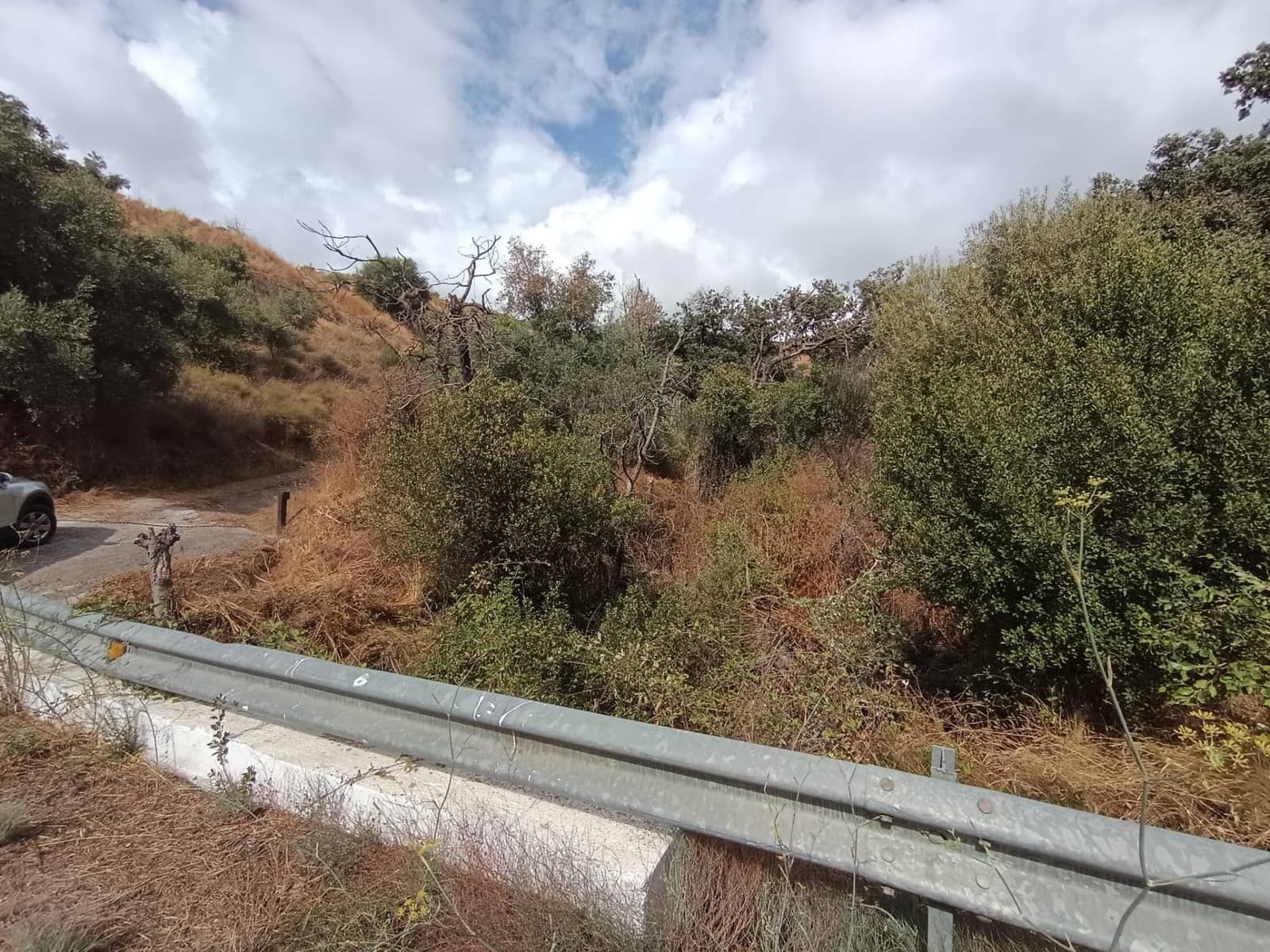 Terreno/Finca Rústica en Sedella en venta - 156.000 € (Ref: 9359669)