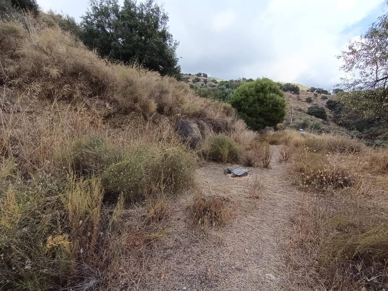 Terreno/Finca Rústica en Sedella en venta - 156.000 € (Ref: 9359669)