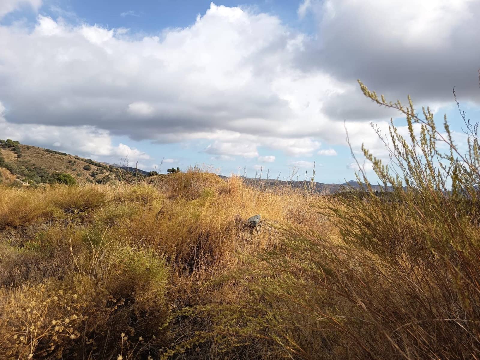 Terreno/Finca Rústica en Sedella en venta - 156.000 € (Ref: 9359669)