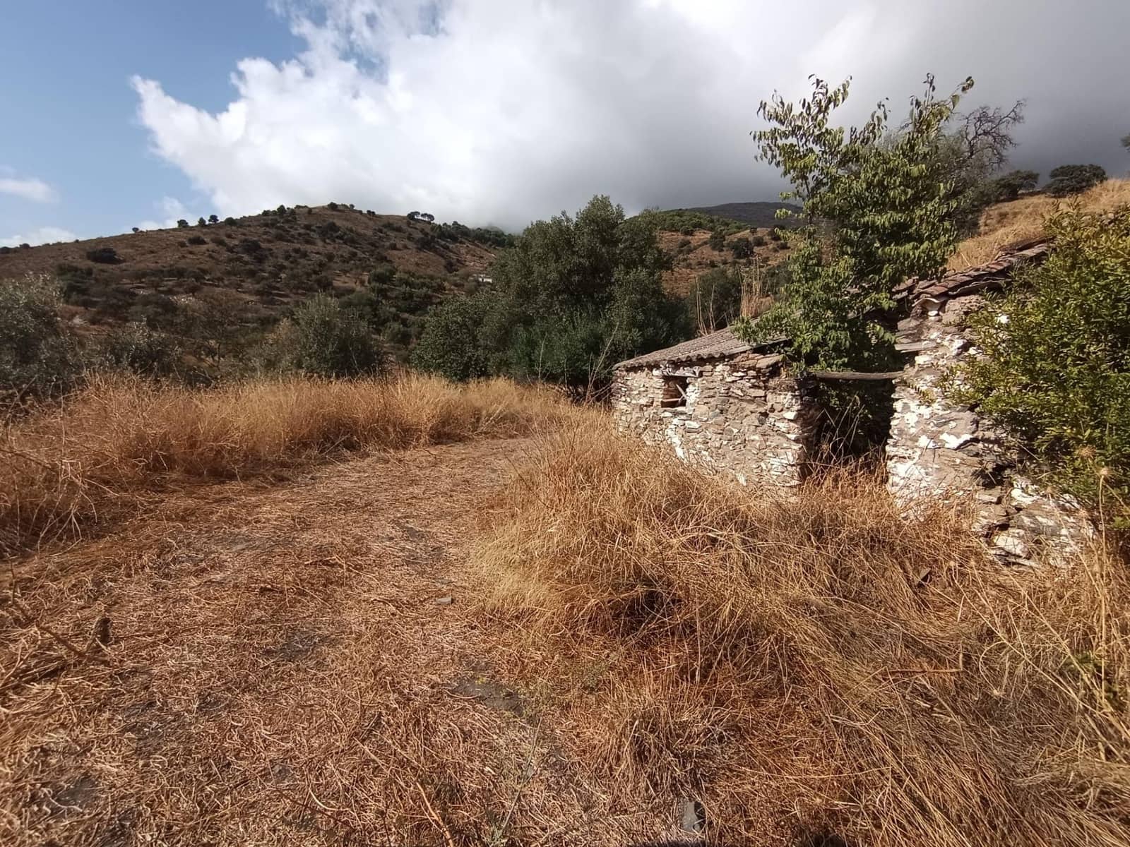 Terreno/Finca Rústica en Sedella en venta - 156.000 € (Ref: 9359669)