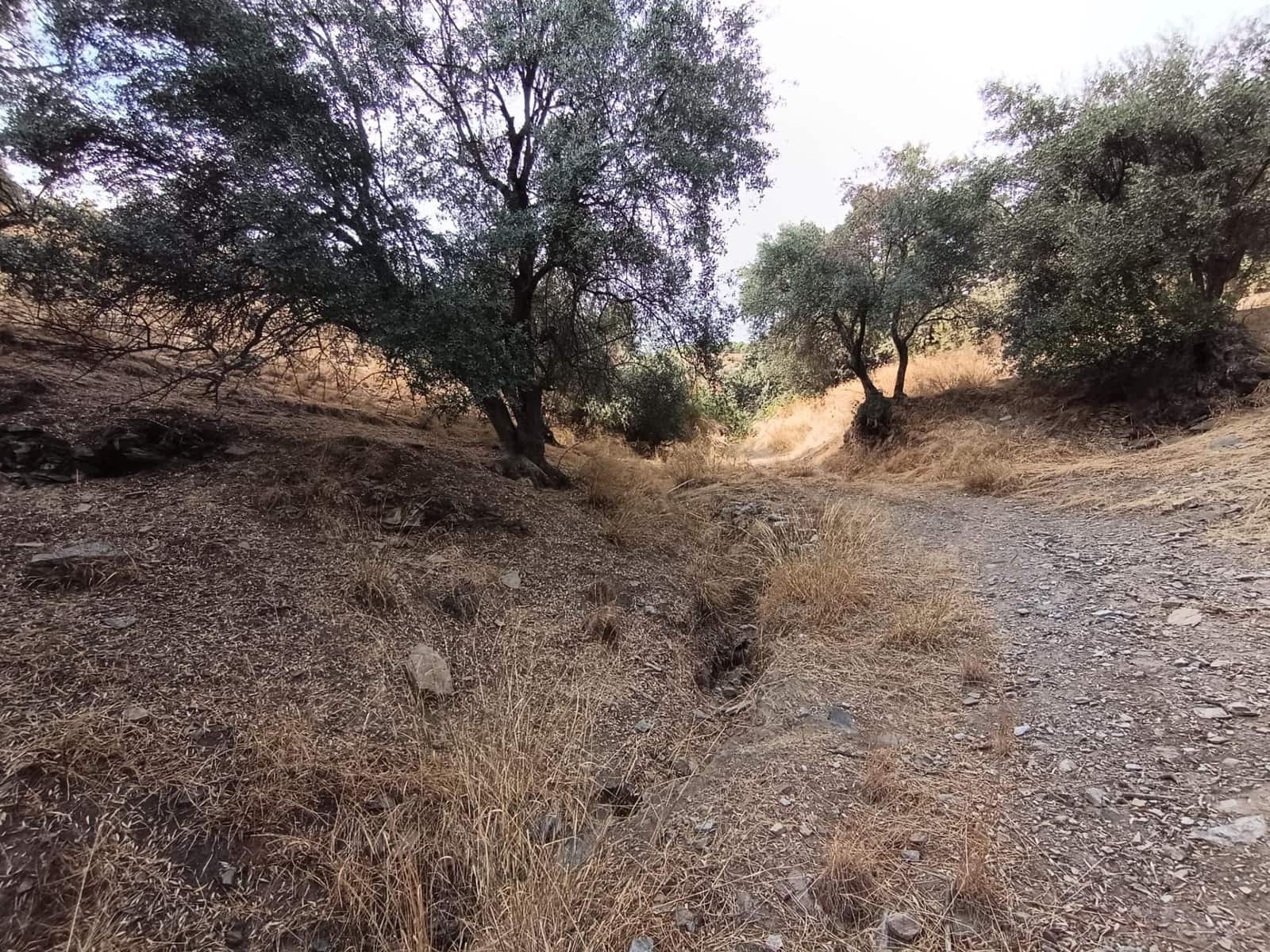 Terreno/Finca Rústica en Sedella en venta - 156.000 € (Ref: 9359669)