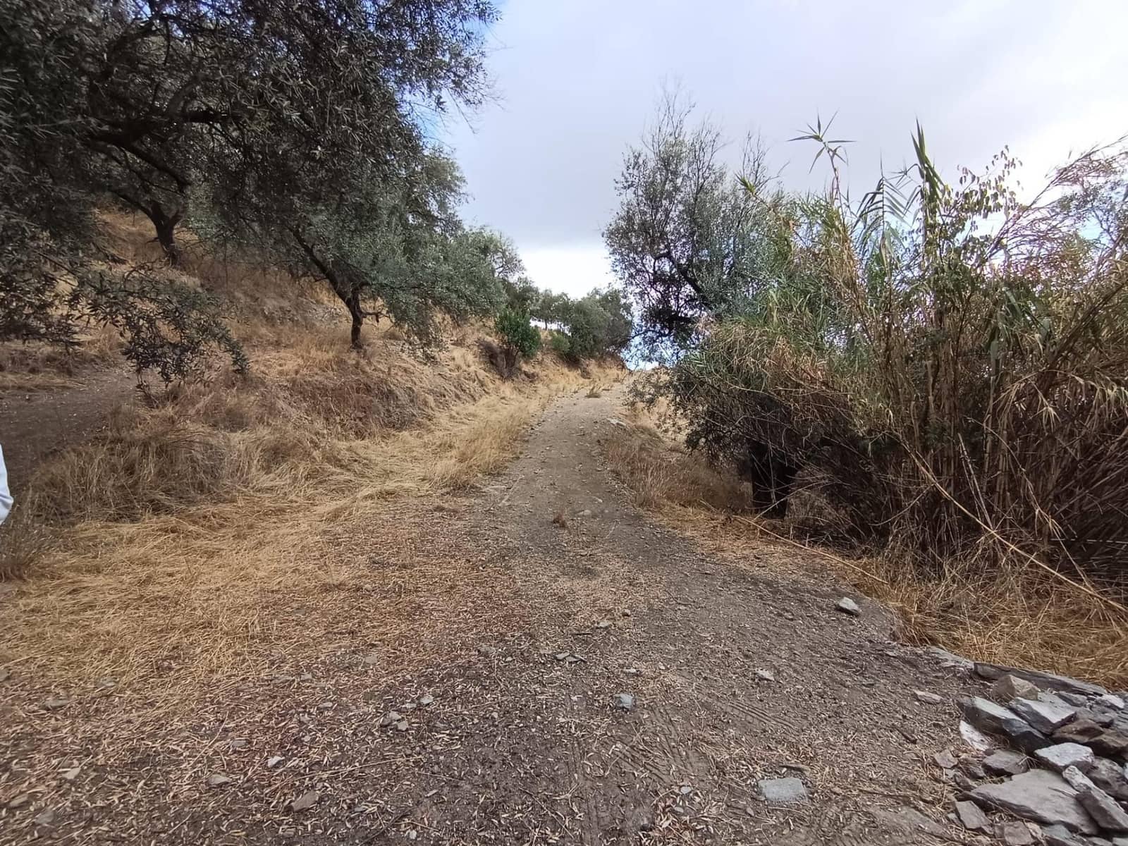Terreno/Finca Rústica en Sedella en venta - 156.000 € (Ref: 9359669)
