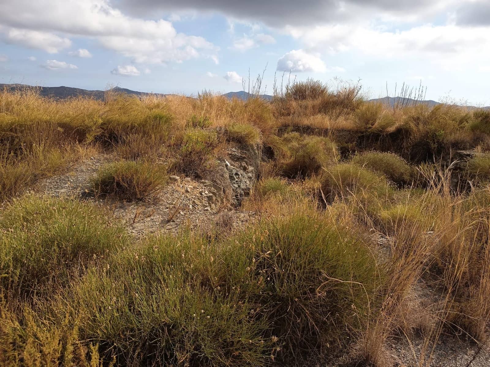 Terreno/Finca Rústica en Sedella en venta - 156.000 € (Ref: 9359669)