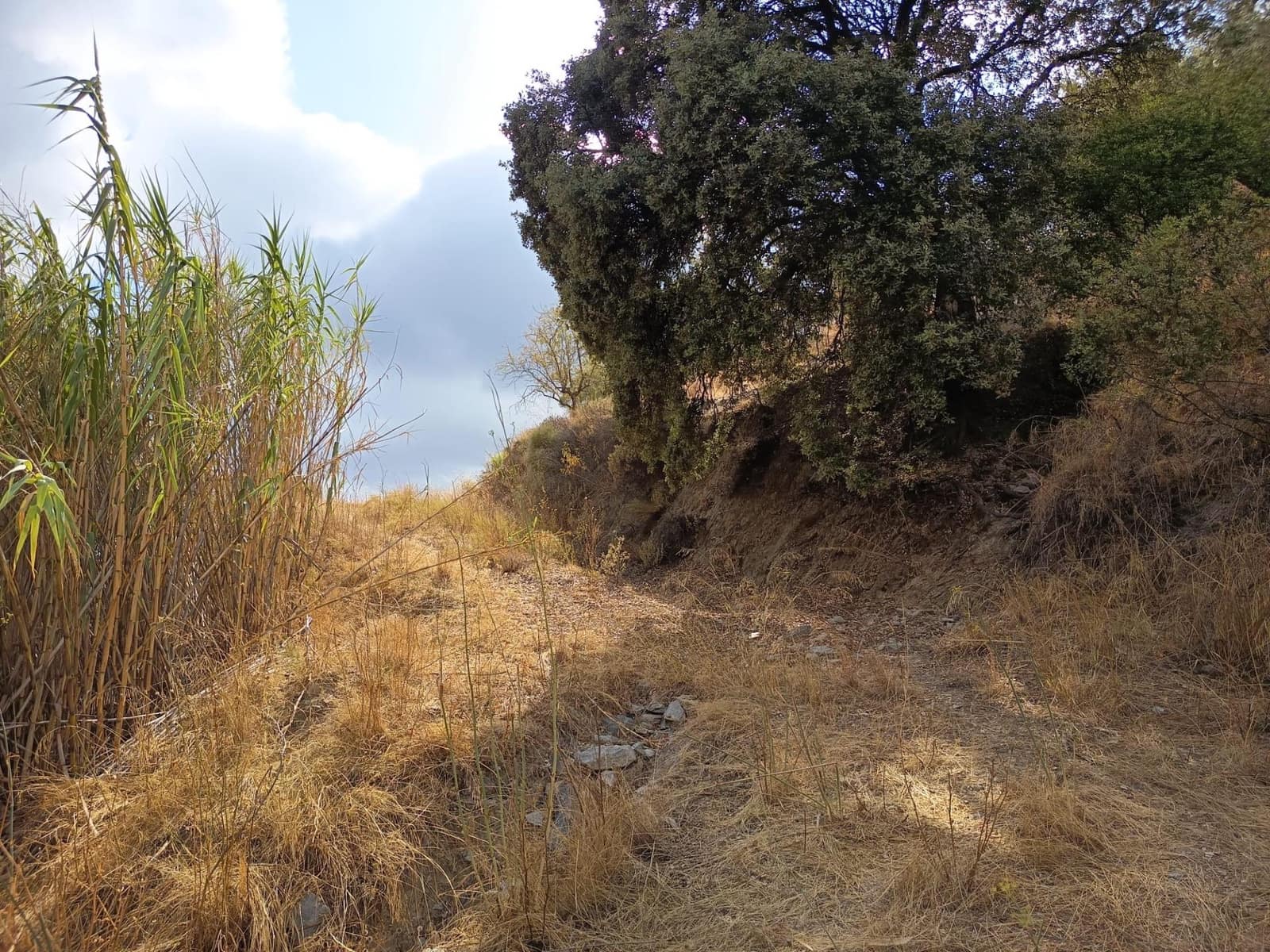 Terreno/Finca Rústica en Sedella en venta - 156.000 € (Ref: 9359669)