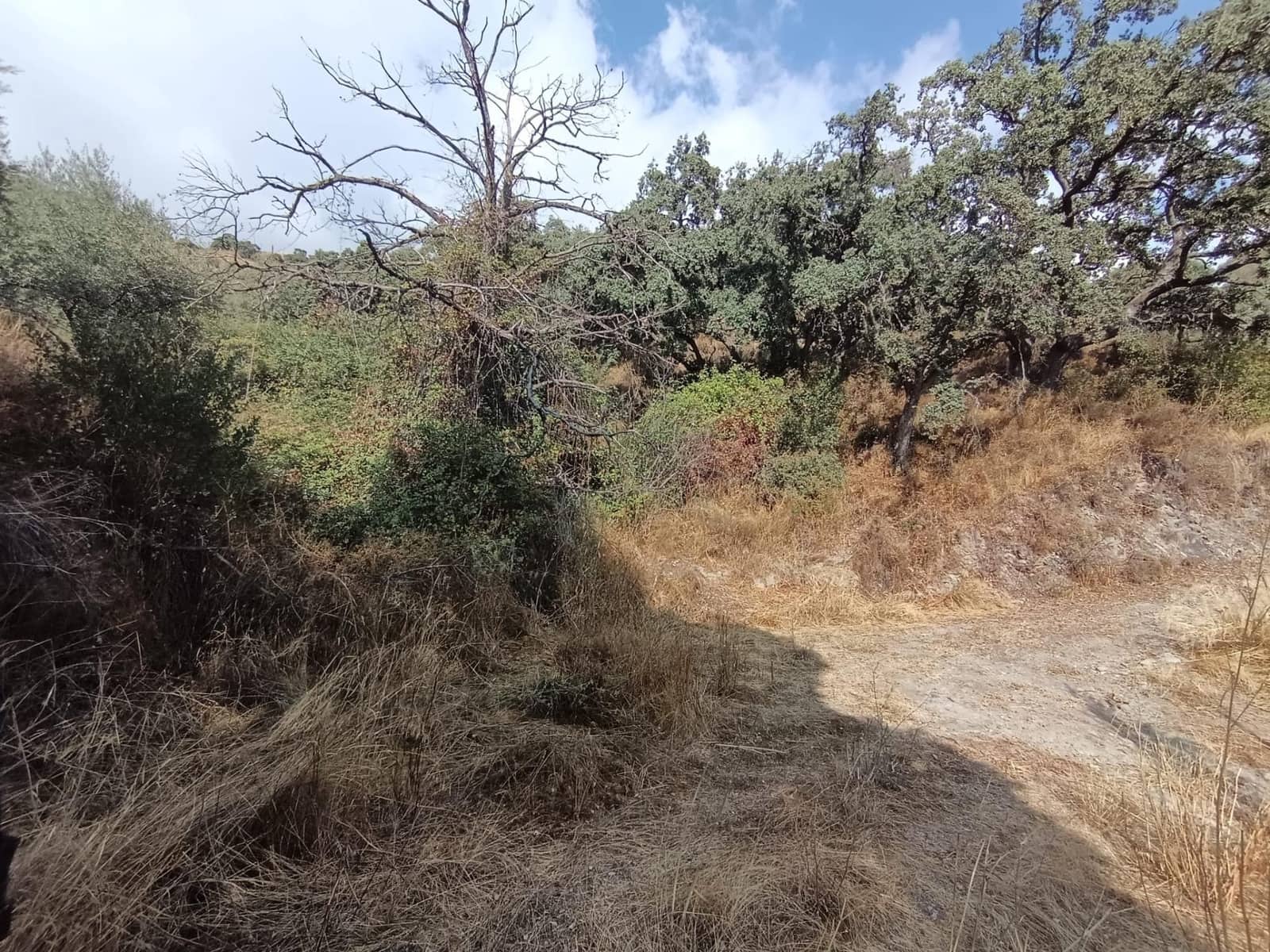 Terreno/Finca Rústica en Sedella en venta - 156.000 € (Ref: 9359669)