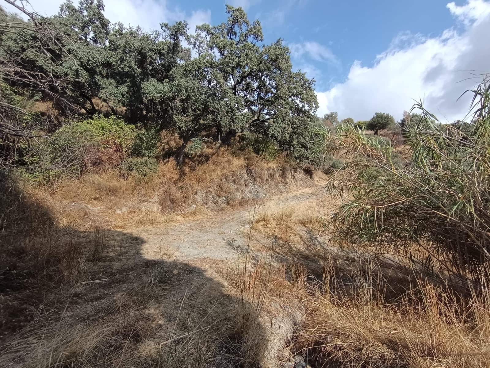 Terreno/Finca Rústica en Sedella en venta - 156.000 € (Ref: 9359669)