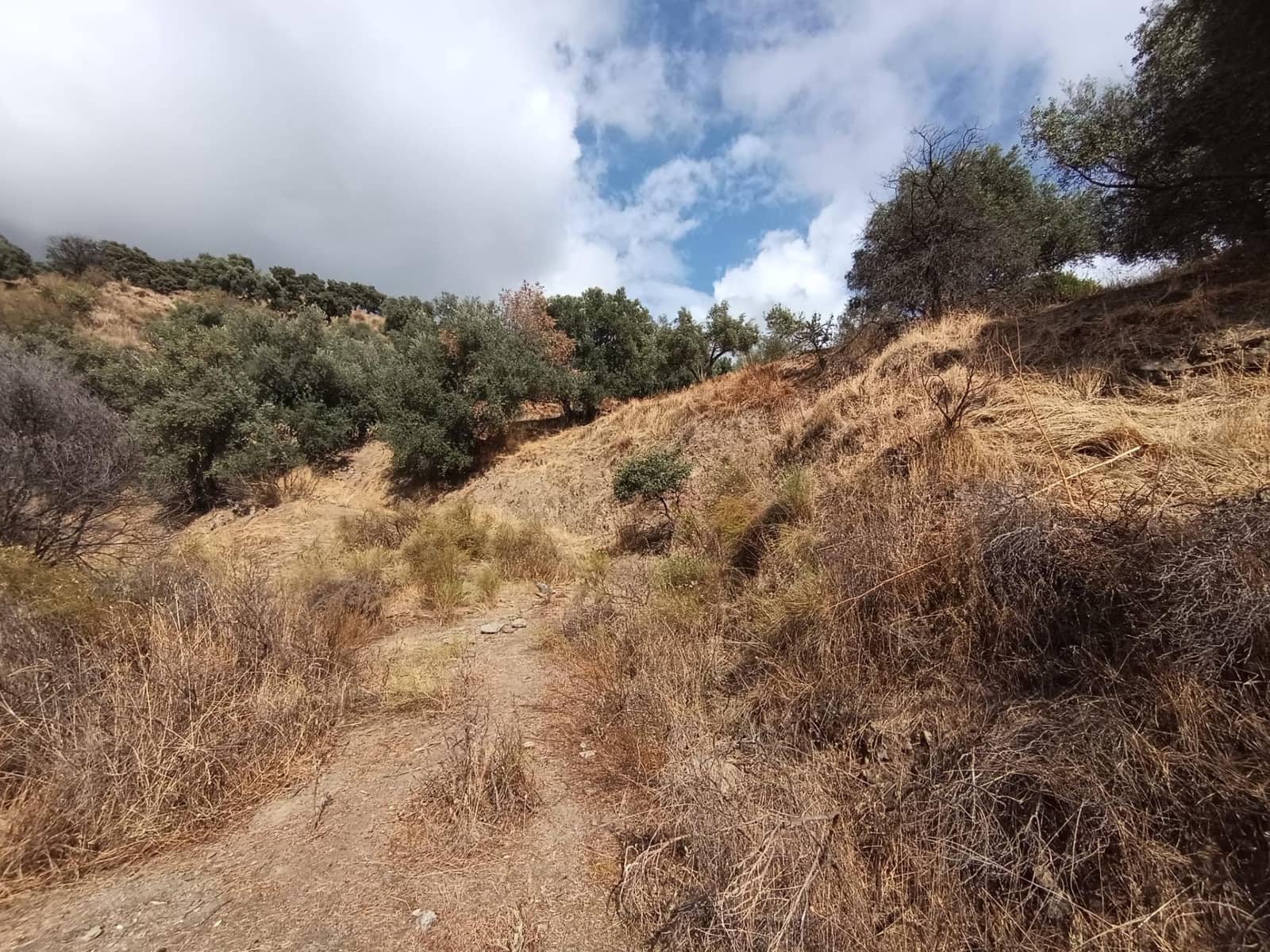 Terreno/Finca Rústica en Sedella en venta - 156.000 € (Ref: 9359669)