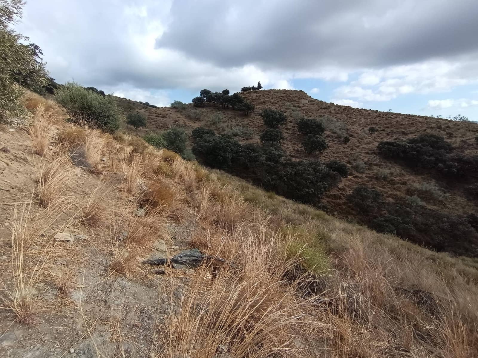 Terreno/Finca Rústica en Sedella en venta - 156.000 € (Ref: 9359669)