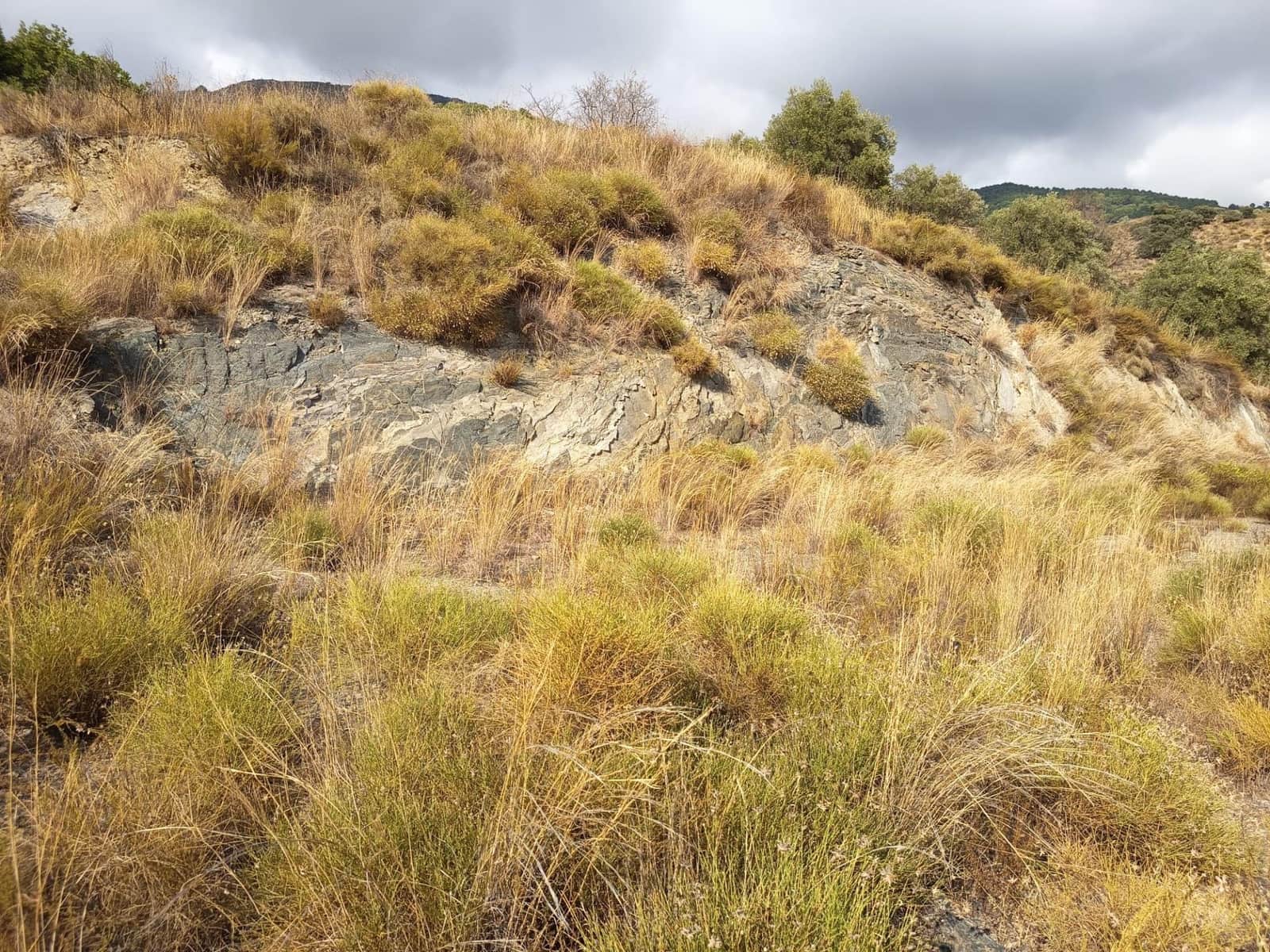 Terreno/Finca Rústica en Sedella en venta - 156.000 € (Ref: 9359669)