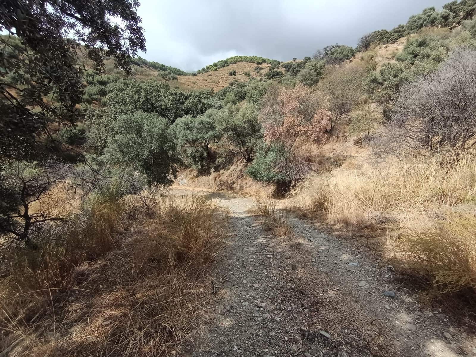 Terreno/Finca Rústica en Sedella en venta - 156.000 € (Ref: 9359669)