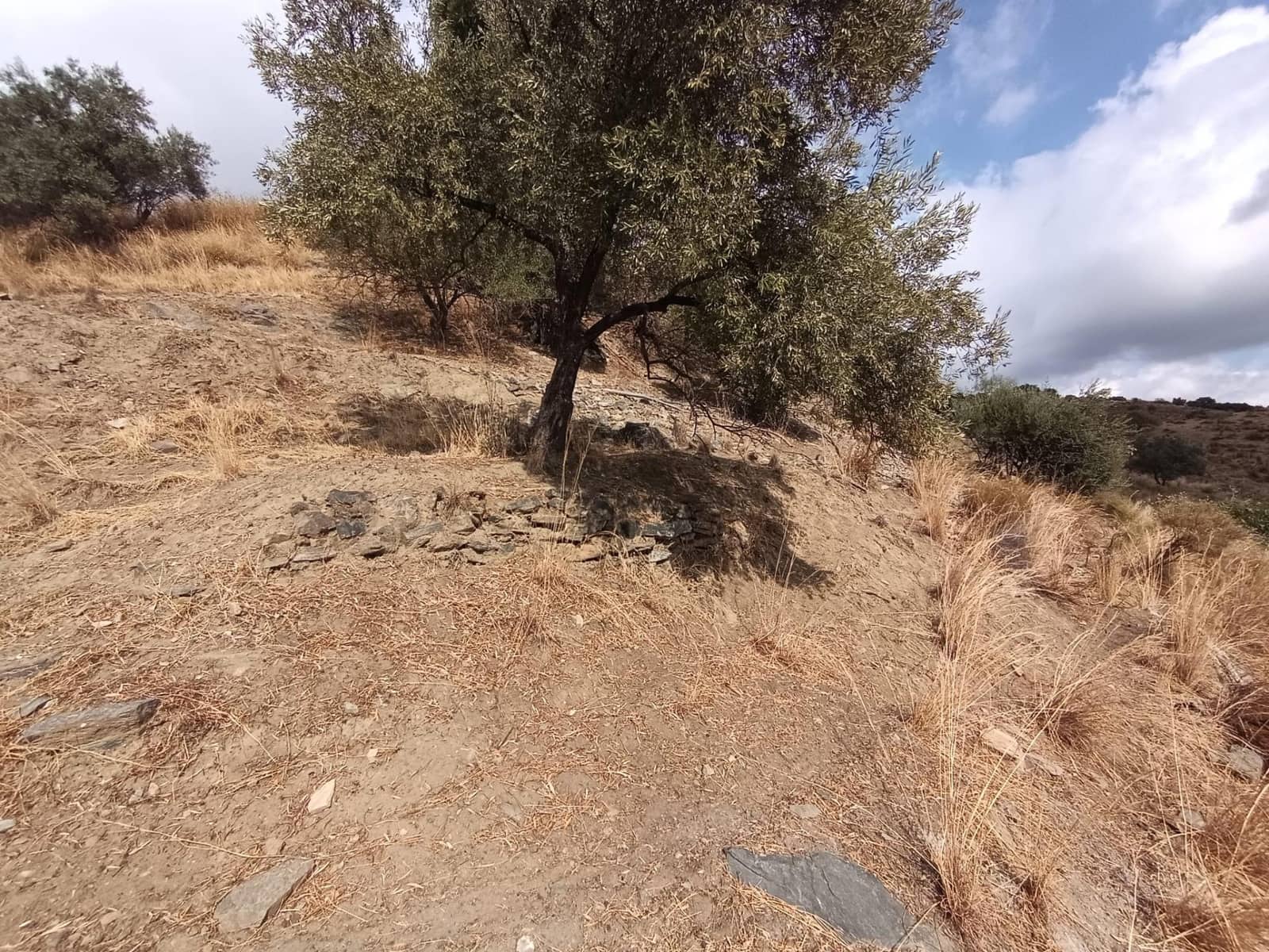 Terreno/Finca Rústica en Sedella en venta - 156.000 € (Ref: 9359669)