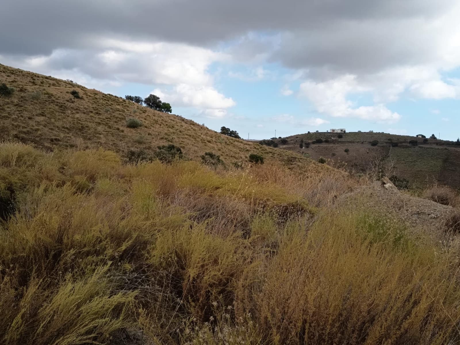 Landgrundstück zu verkaufen in Sedella - 156.000 € (Ref: 9359669)