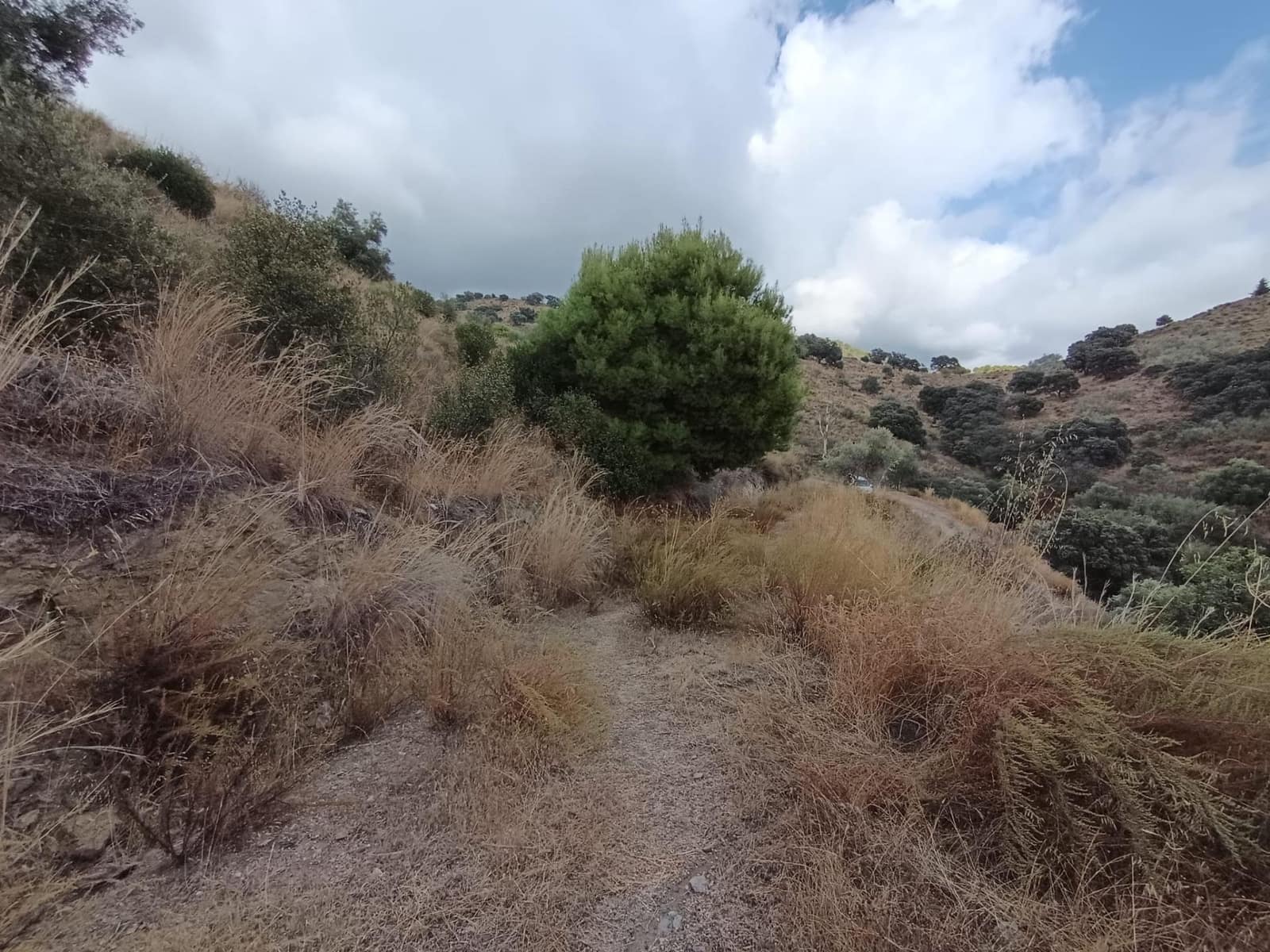 Landgrundstück zu verkaufen in Sedella - 156.000 € (Ref: 9359669)